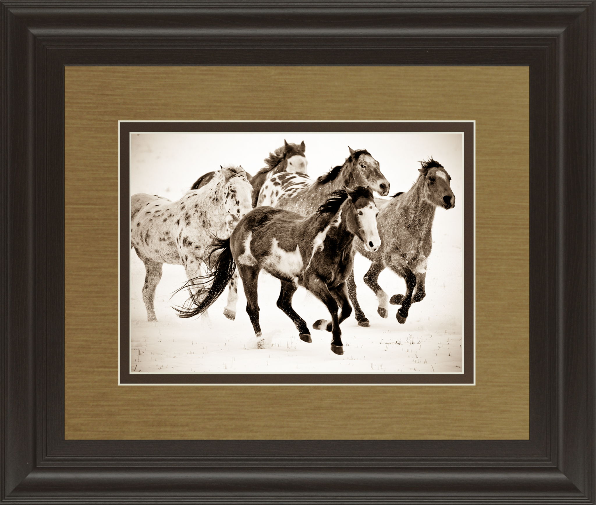 Painted Horses Run By Carol Walker - Framed Print Wall Art - Light Brown