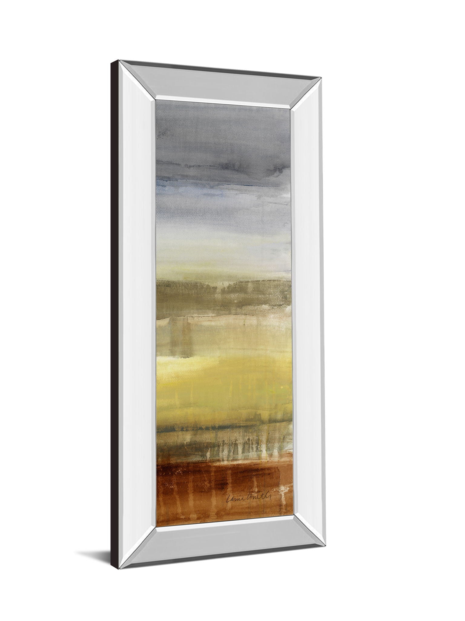Summer Rain I By Lanie Loreth - Mirror Framed Print Wall Art - Gray