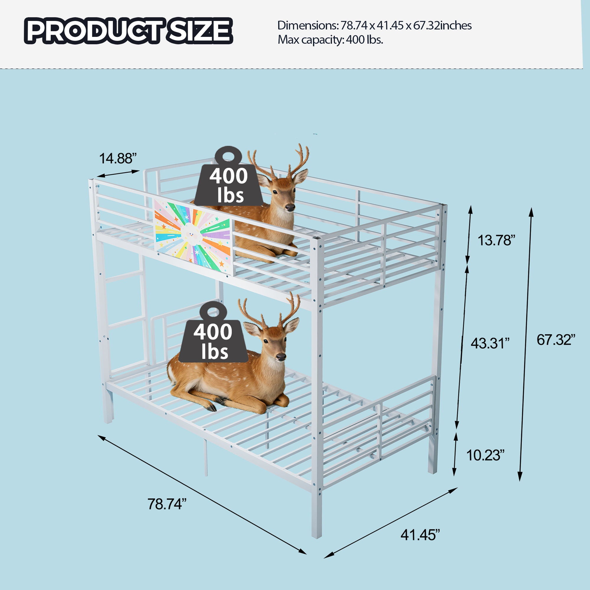 Bunk Bed, Convertible To 2 Separate Twin Size Beds & Full Length Guardrail & Ladder, No Box Spring Needed - White