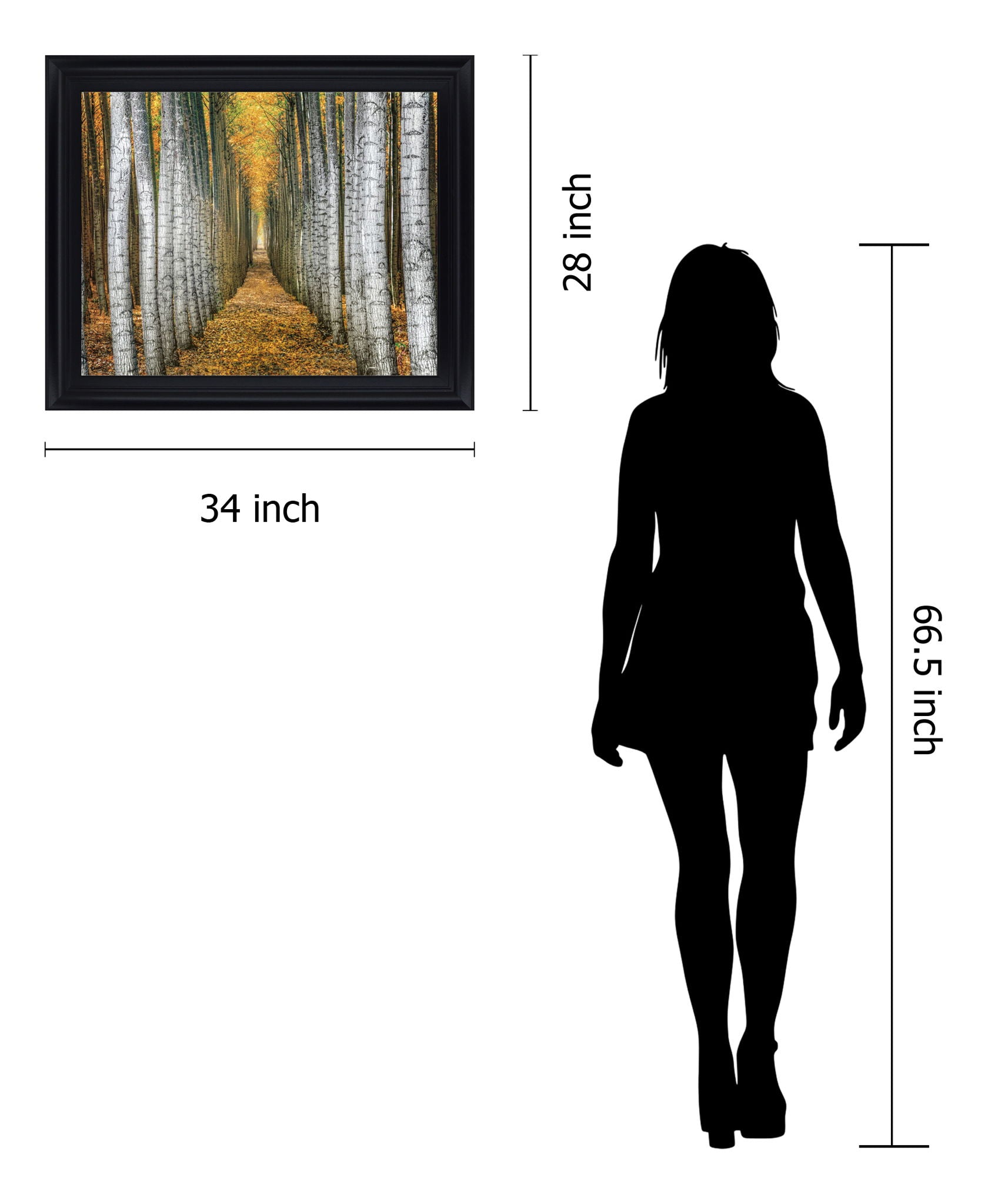 Golden Birch Passage - 28" x 34" Framed Wall Art - Yellow