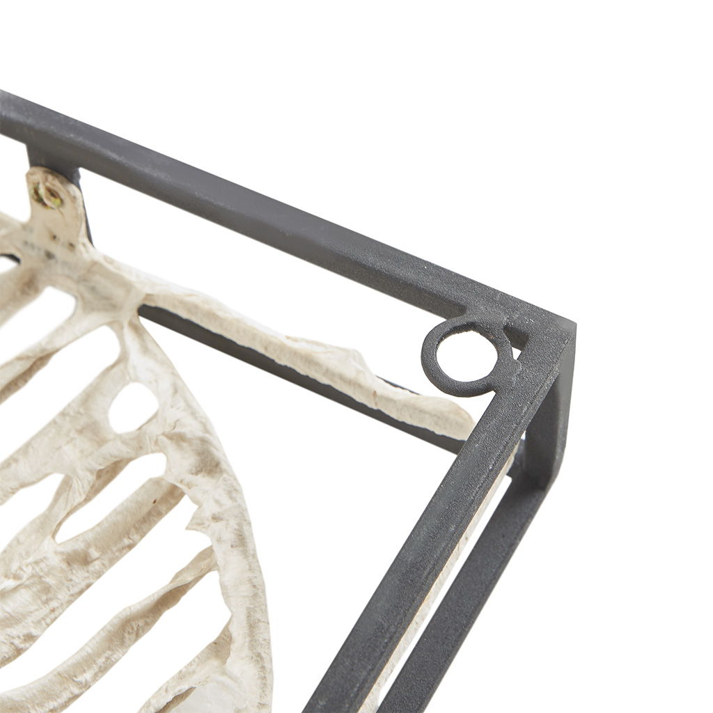 Cloaked Leaves Wall Decor - Natural