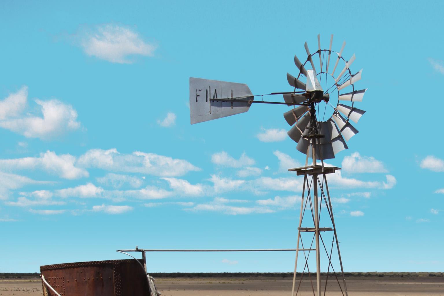 Windmill In The Field By Anna Coppel - Light Blue