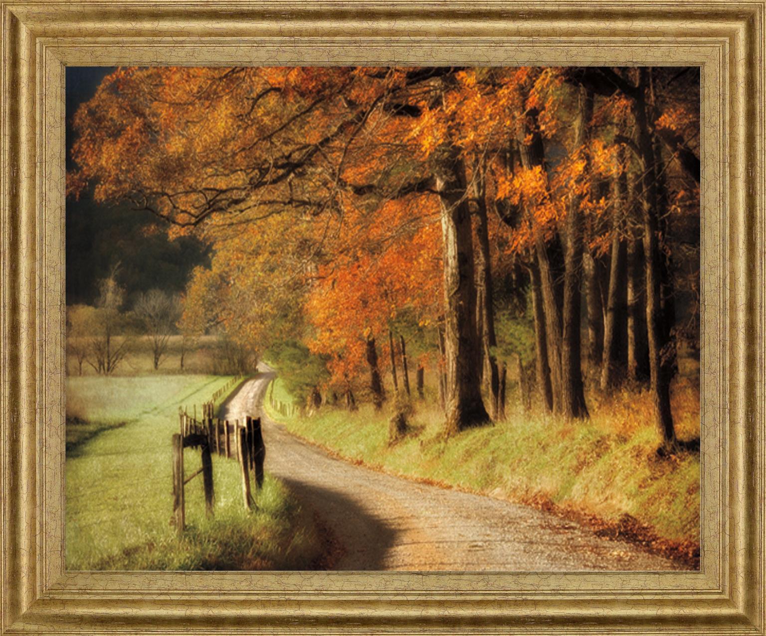 Amber Forest Pathway - 28" x 34" Framed Wall Art - Orange