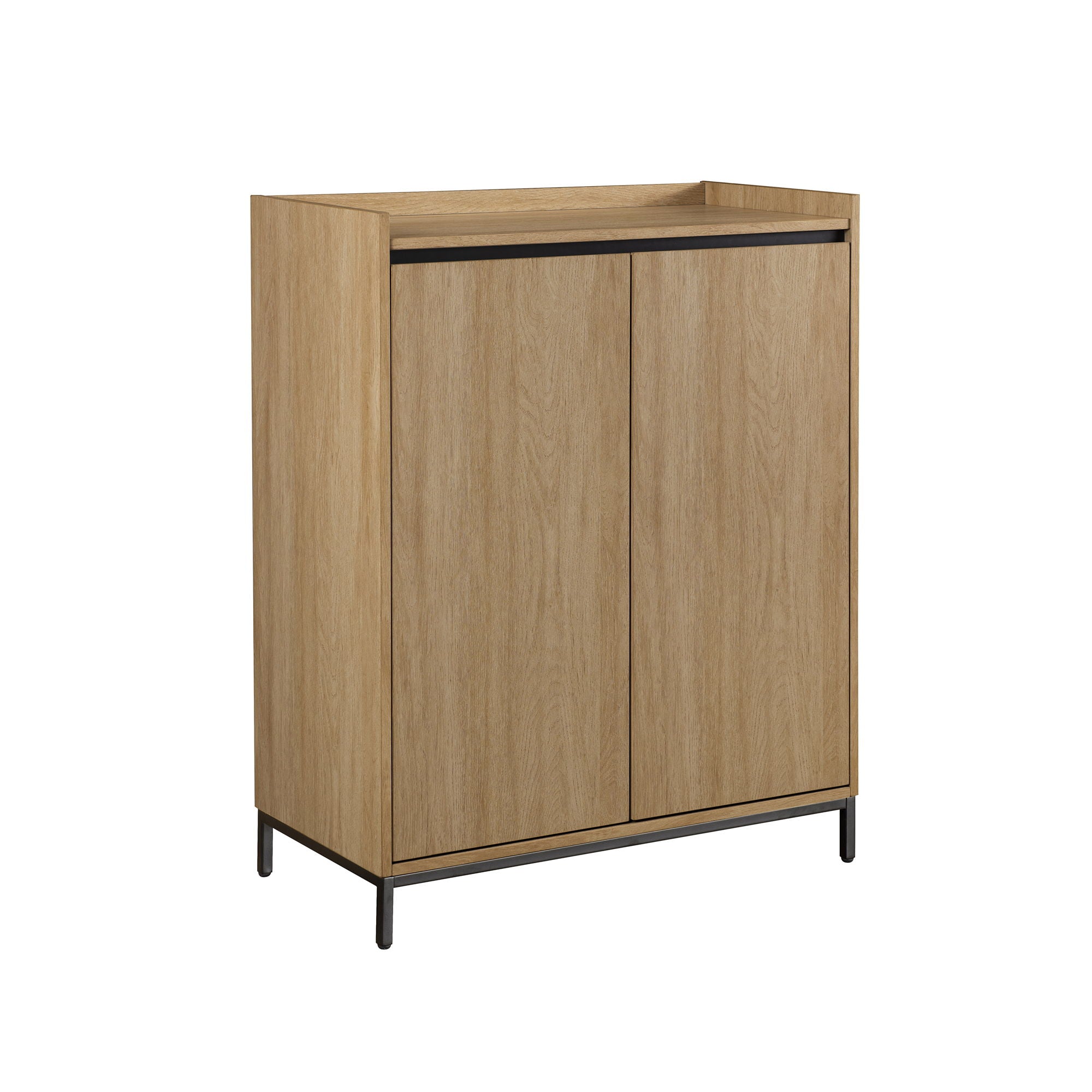 Contemporary Minimalist 2 Door Accent Cabinet