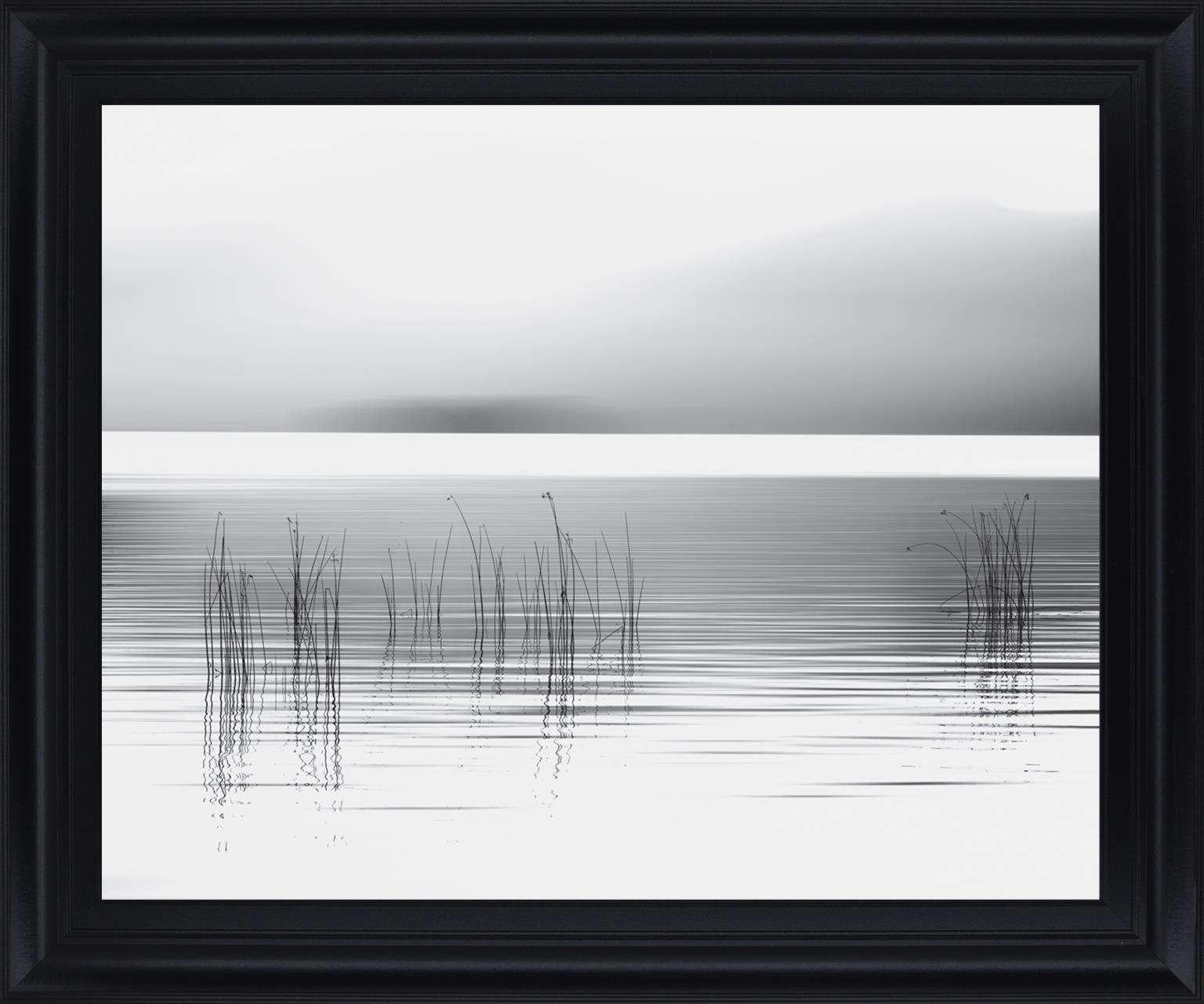 Whispering Reeds - 28" x 34" Framed Wall Art - Gray