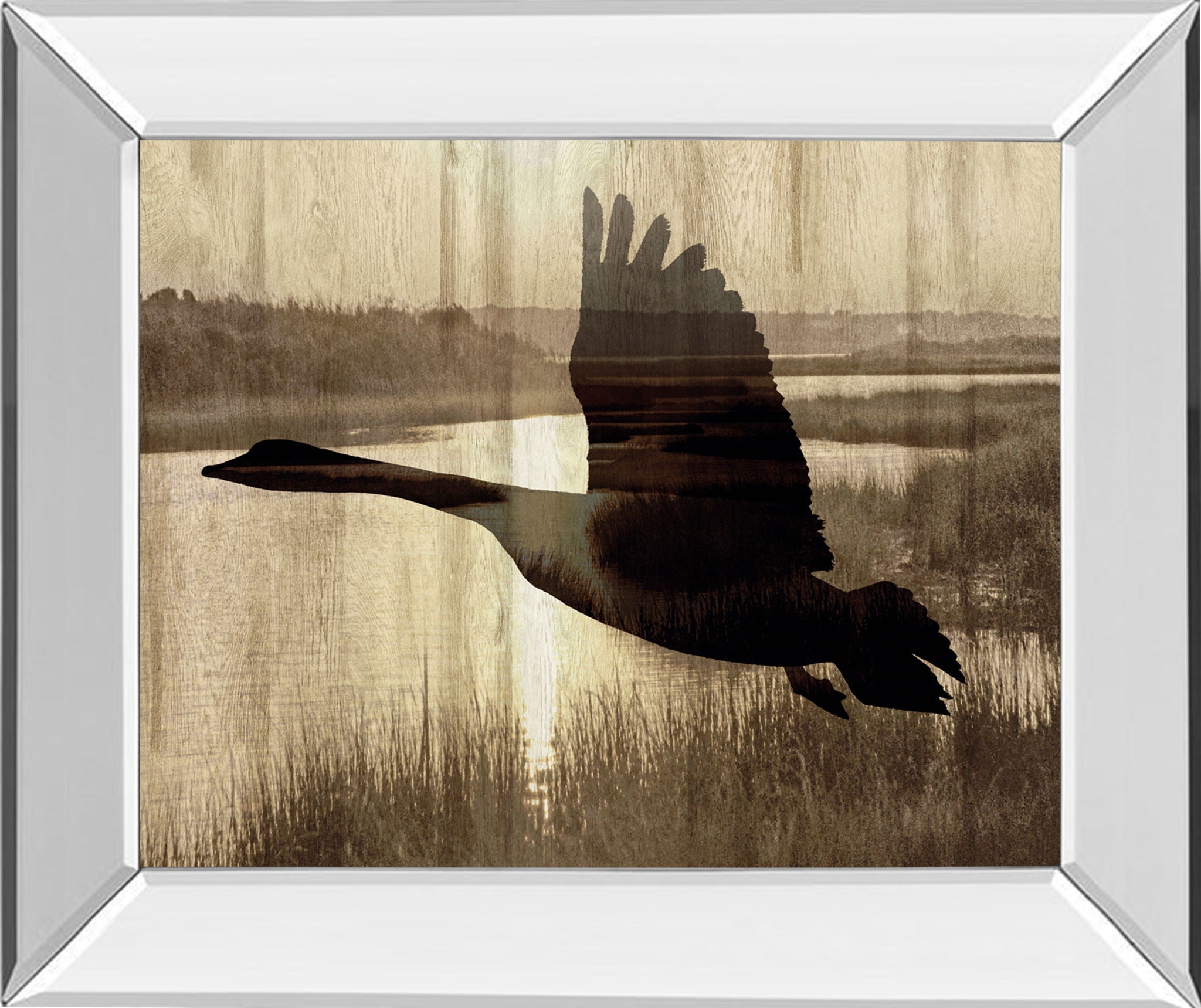 Journey By Tania Bello - Mirror Framed Goose Photo Print Wall Art - Light Brown