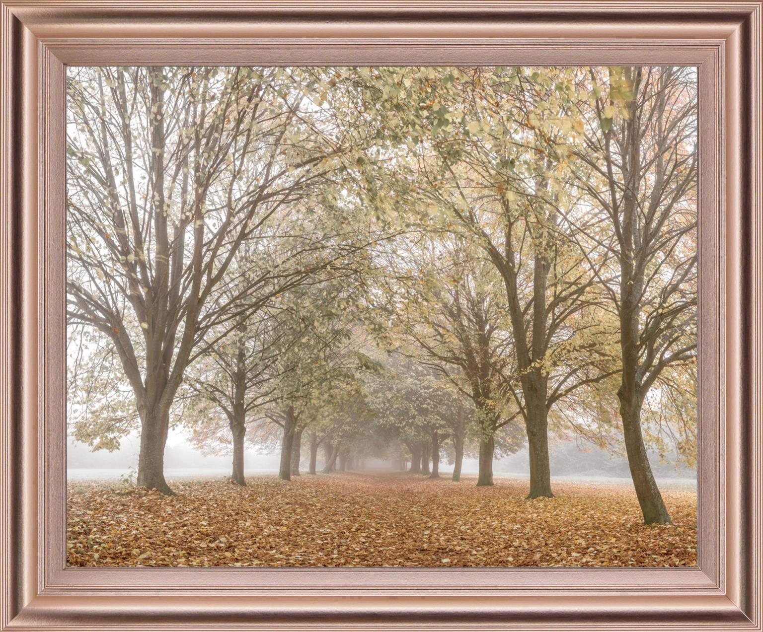 Golden Mist Avenue - 28" x 34" Framed Wall Art - Light Brown
