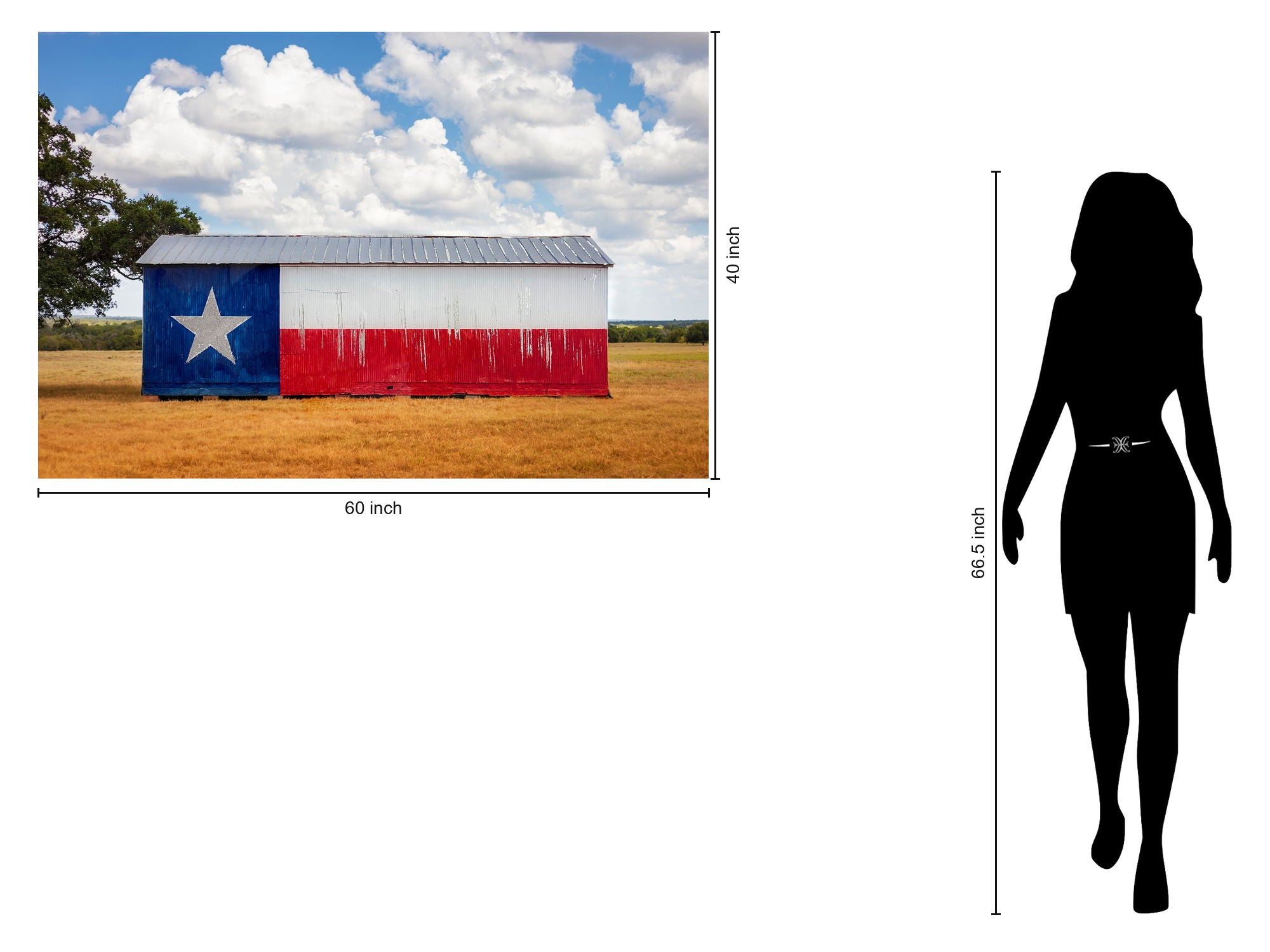 Tempered Glass With Foil - Txas Flag Barn - White