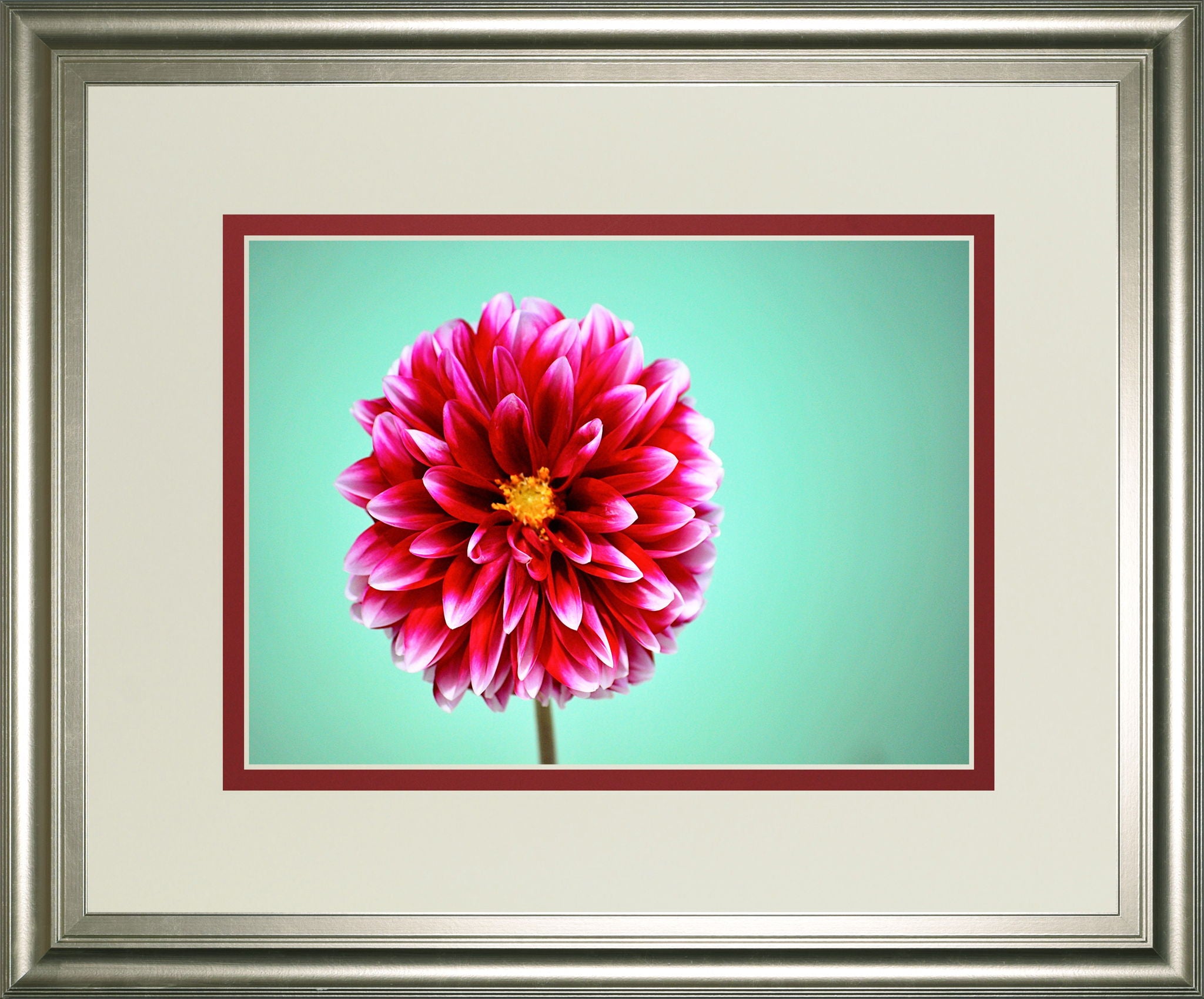 Zenia By Gail Peck - Framed Print Wall Art - Pink