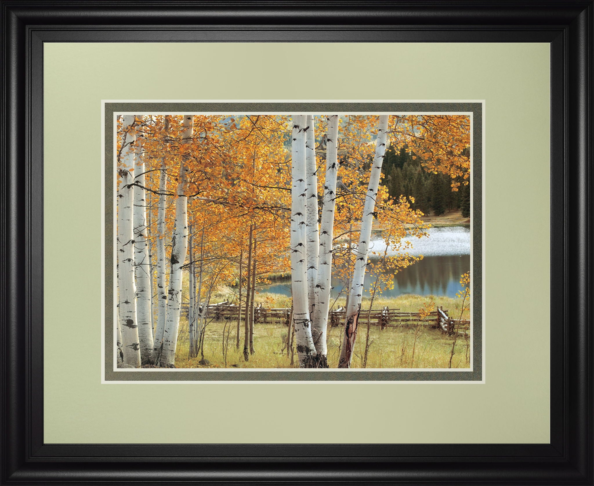 Birch Beauty By Mike Jones - Framed Print Wall Art - Light Brown