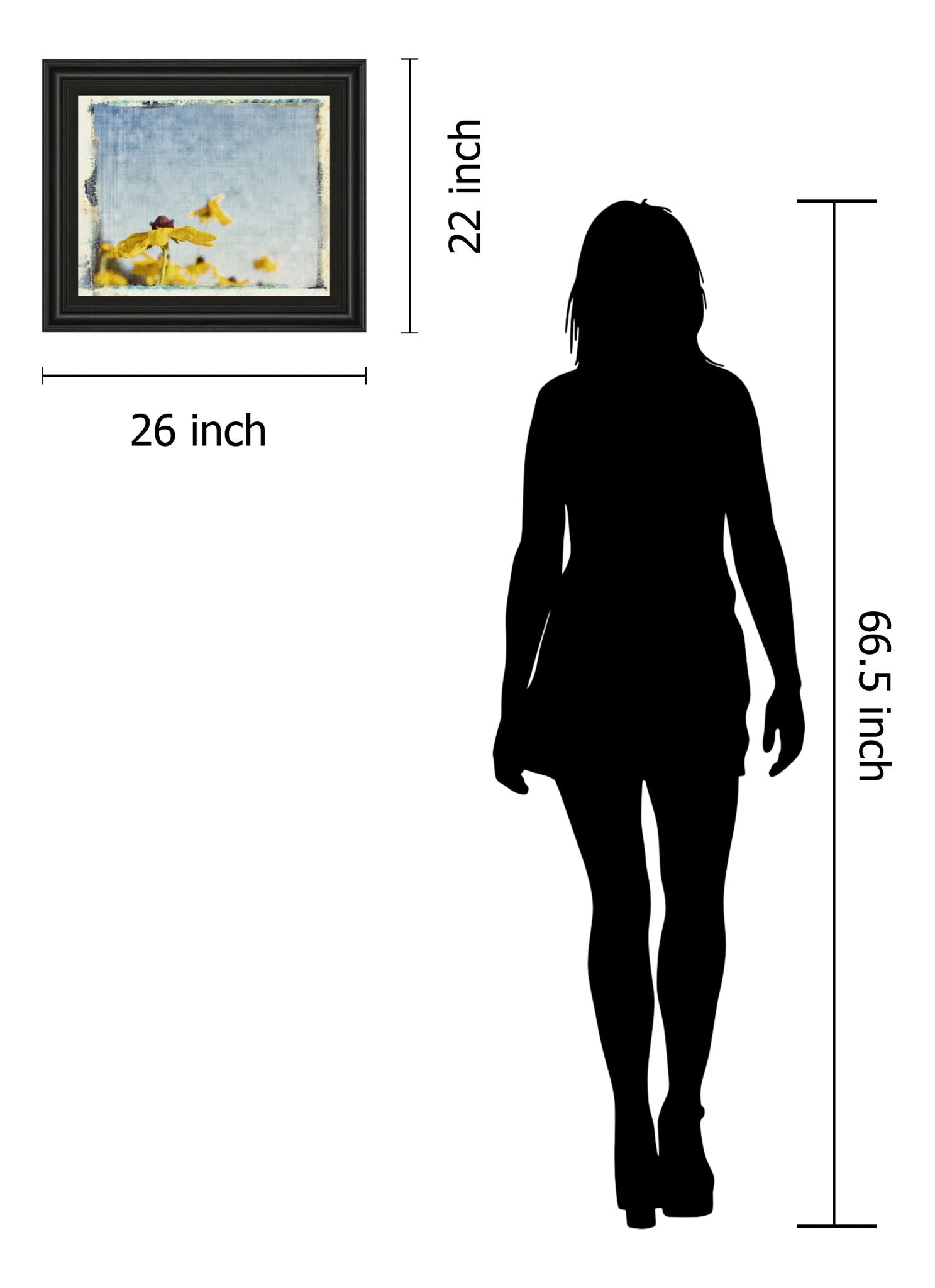 Blackeyed Susan's I By Meghan Mc Sweeney - Framed Print Wall Art - Yellow