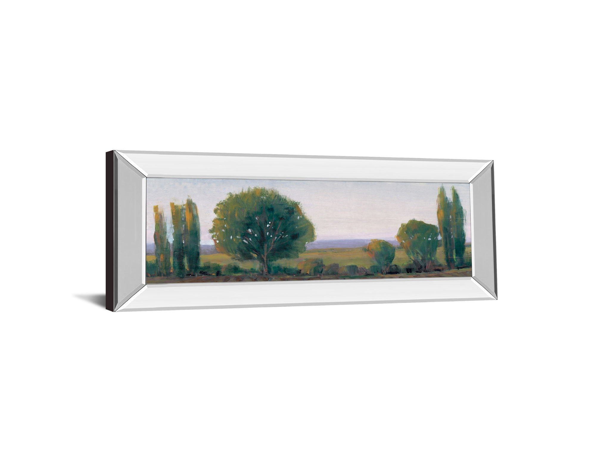 Panoramic Treeline I By Tim Otoole - Mirror Framed Print Wall Art - Dark Green