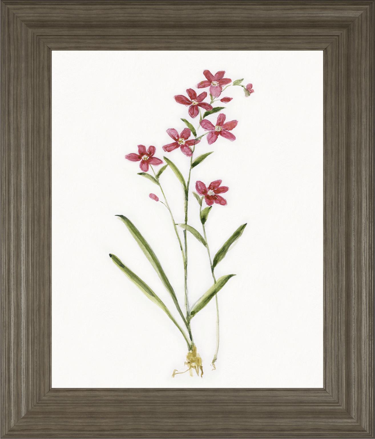 22x26 Delicate I By Sally Swatland - White