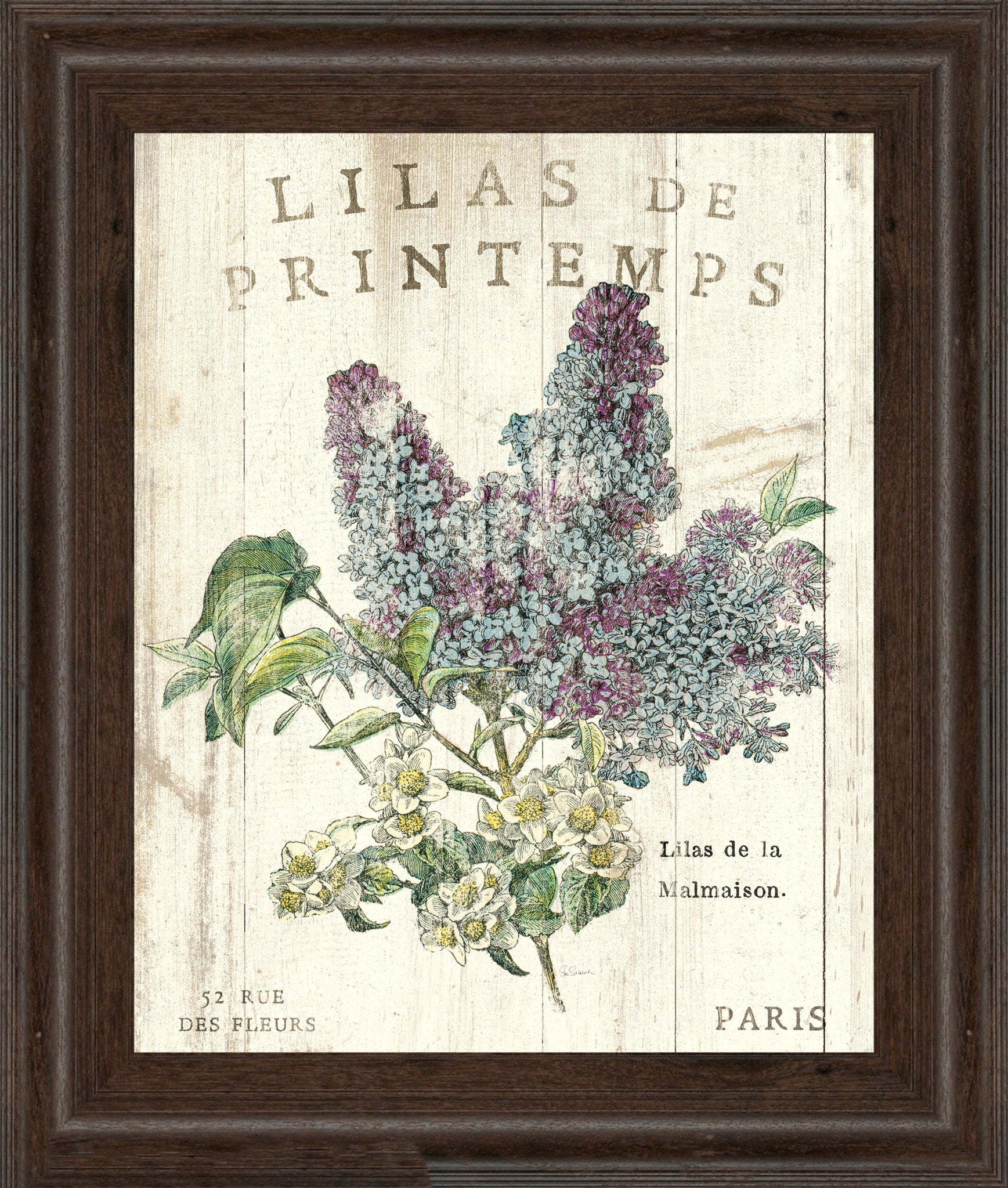 Lilas De Printemps By Sue Schlabach - Beige