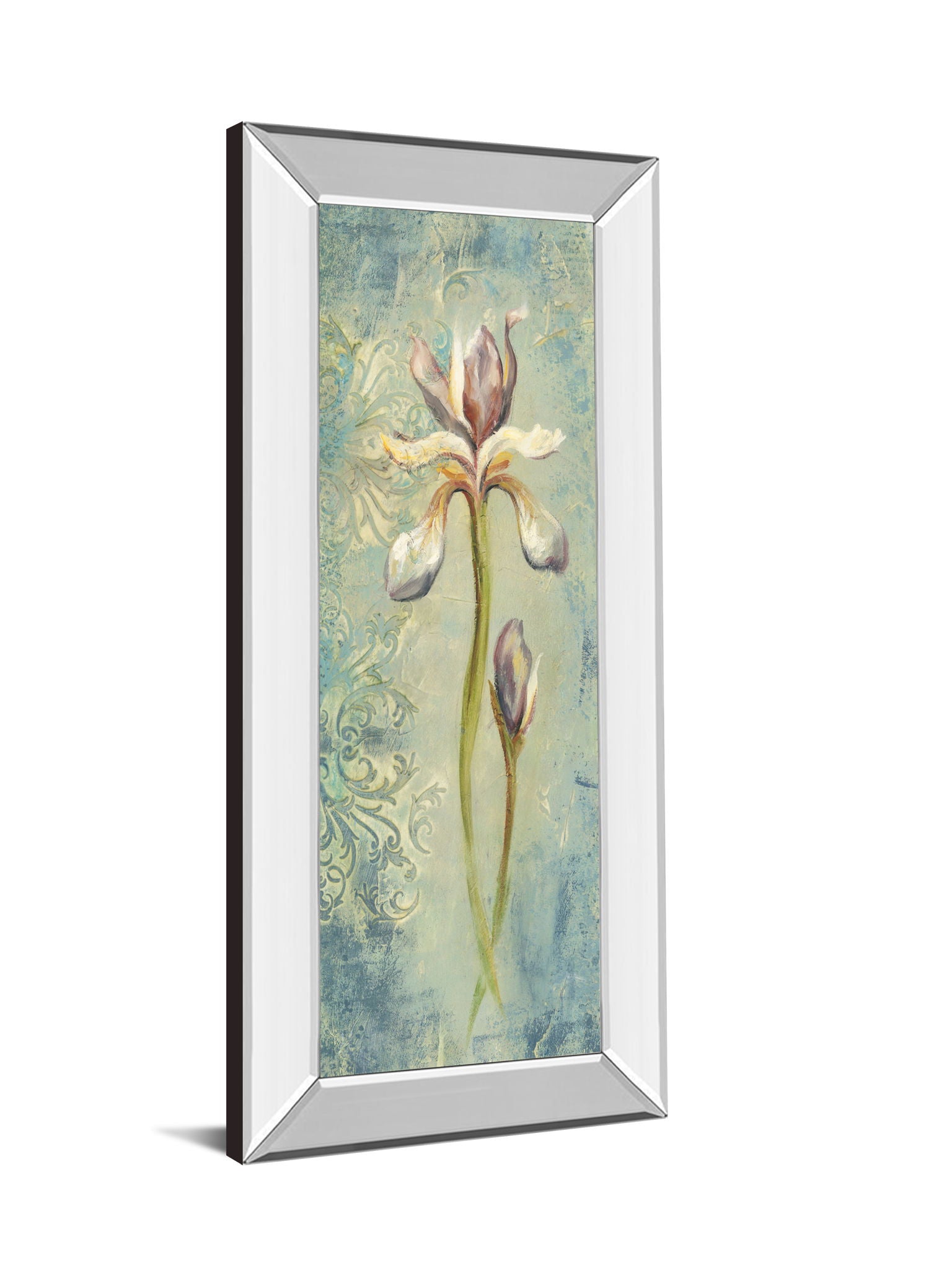 Floral Xi By Lee Hazel - Mirror Framed Print Wall Art - Light Blue