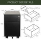 2 Drawer Mobile File Cabinet with Lock Metal Filing Cabinet for Legal/Letter/A4/F4 Size, Fully Assembled Include Wheels, Home/Office Design,BLACK