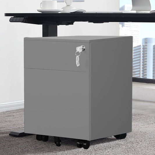 2 Drawer Mobile File Cabinet with Lock Metal Filing Cabinet for Legal/Letter/A4/F4 Size, Fully Assembled Include Wheels, Home/Office Design,Grey
