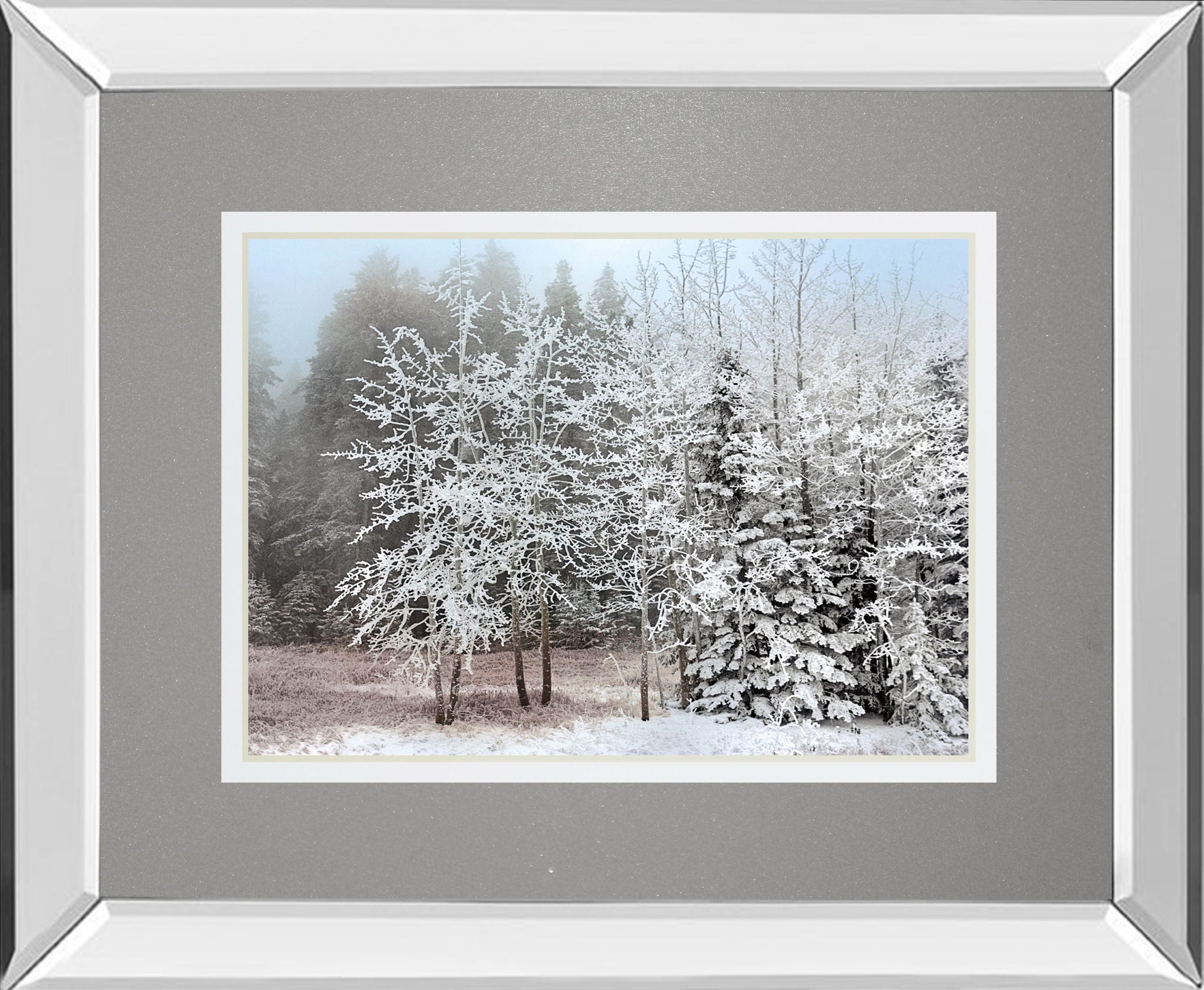 Frosty Morning By Mike Jone - Mirror Framed Print Wall Art - Gray