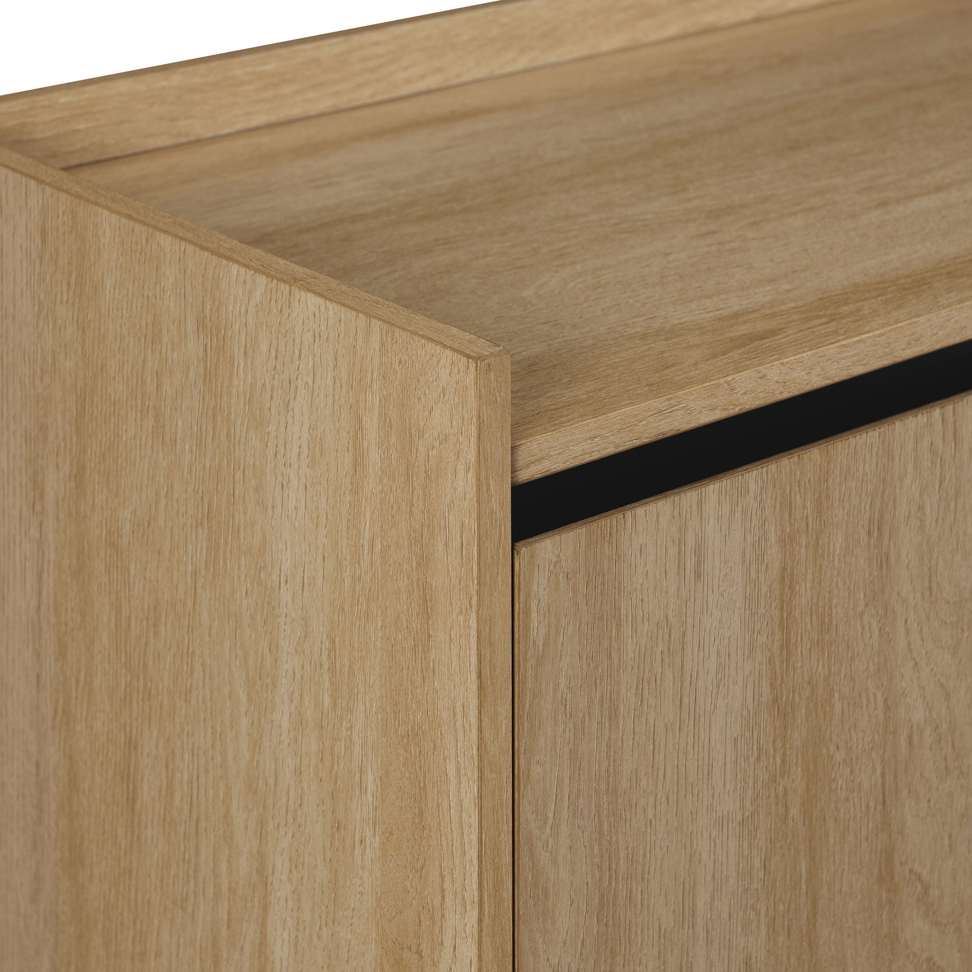 Contemporary Minimalist 2 Door Accent Cabinet