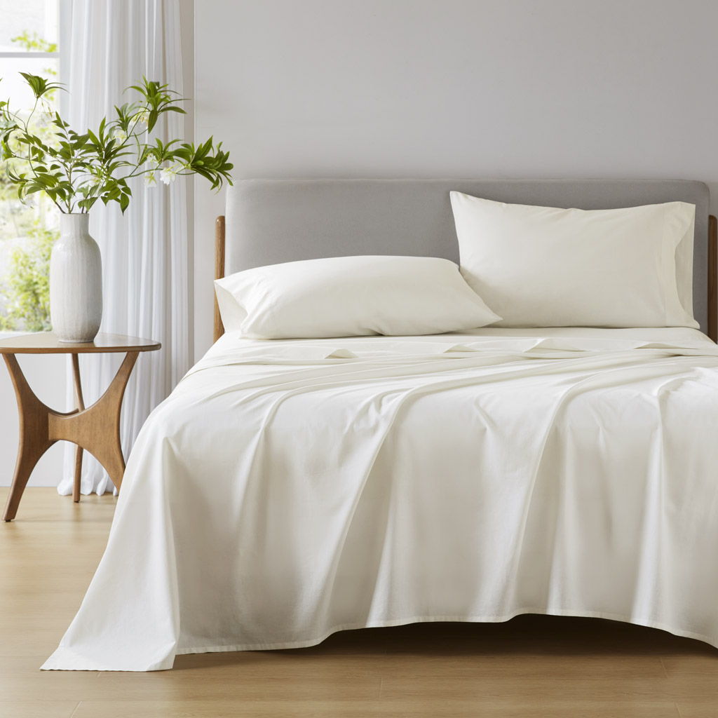 Cotton 144TC - King Solid Sheet Set - Ivory