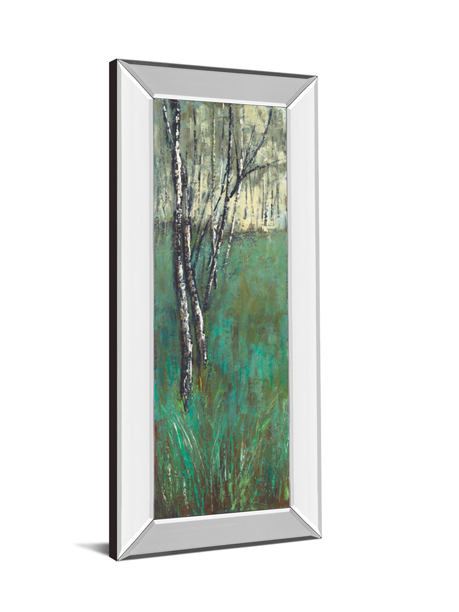 Nature Companion I By Solis - Mirror Framed Print Wall Art - Green