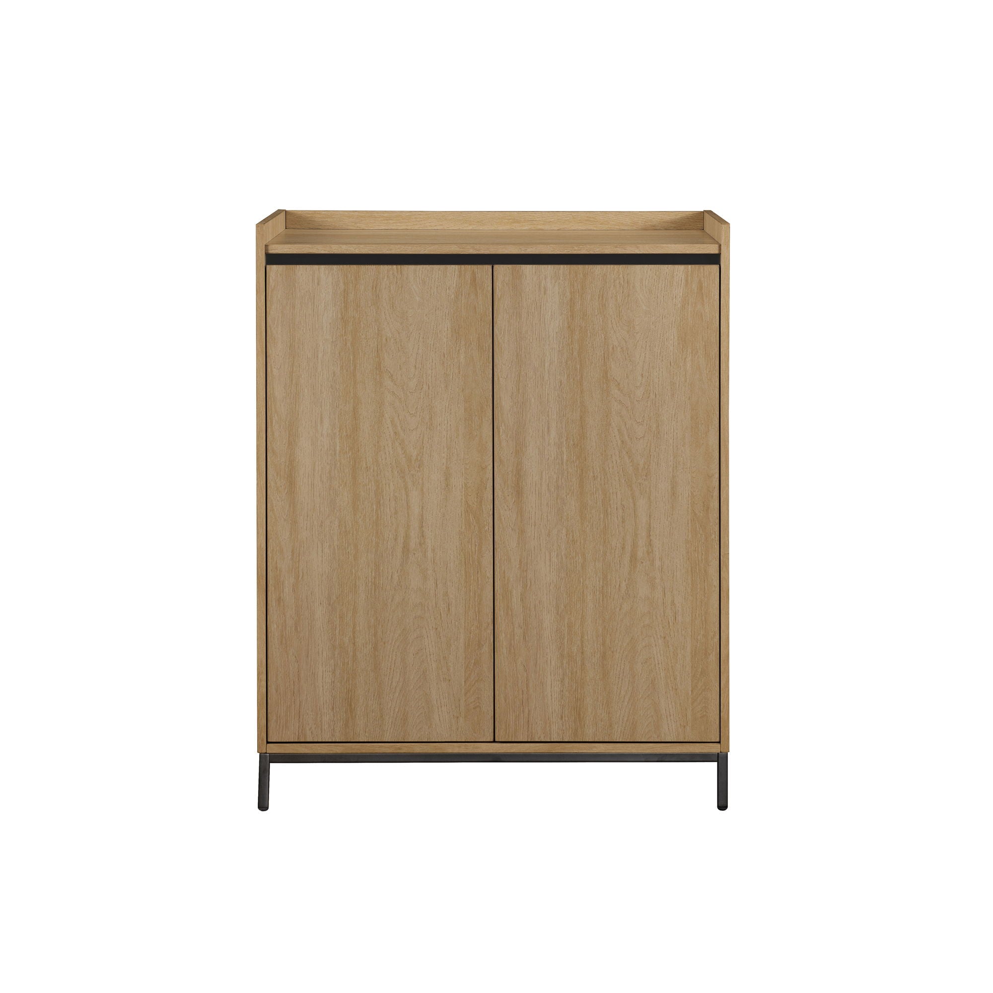 Contemporary Minimalist 2 Door Accent Cabinet
