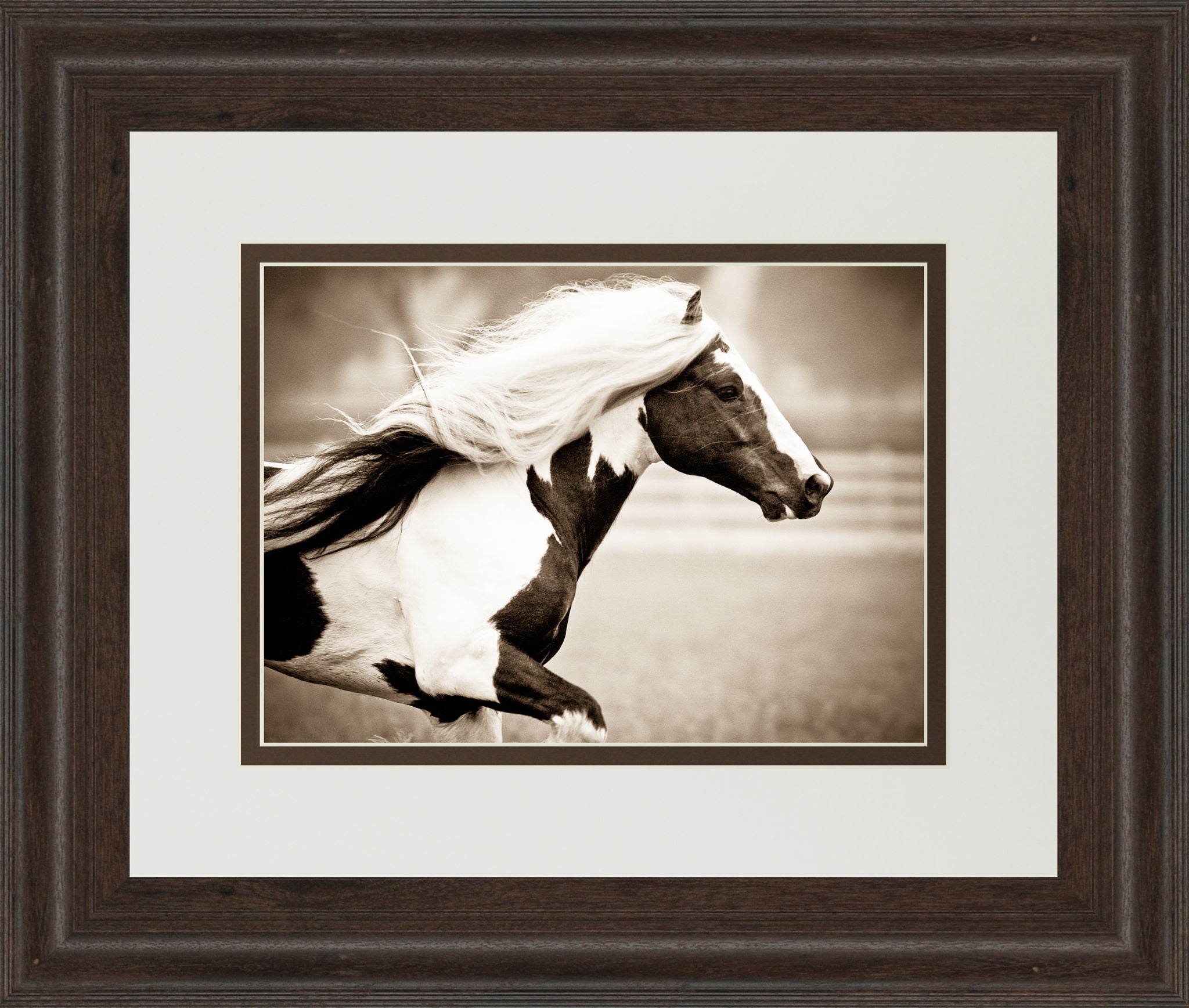 Gypsies Pride By Carol Walker - Framed Print Wall Art - Light Brown