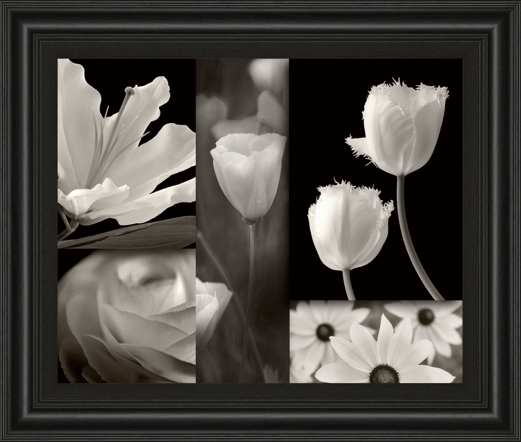 Summer Garden Il By Dennis Frates - Framed Print Wall Art - Dark Gray