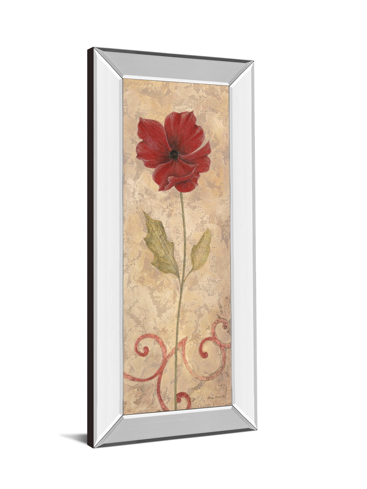 Flower II - Mirrored Framed Print Wall Art - Beige