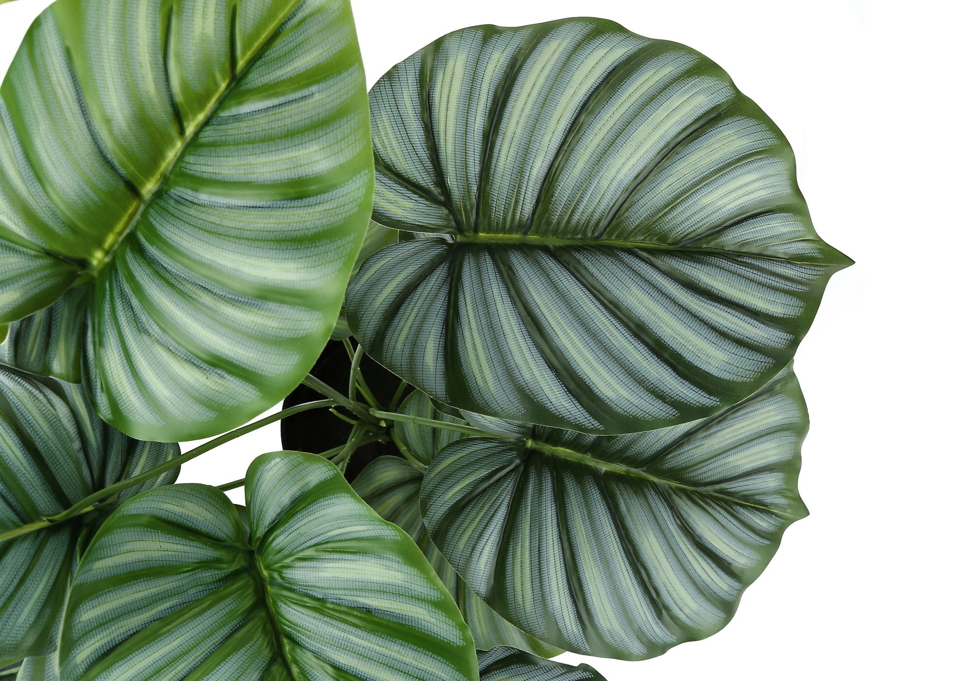 24" Tall, Artificial Plant, Calathea, Indoor, Faux, Fake, Table, Greenery, Potted, Real Touch, Decorative - Green / Black