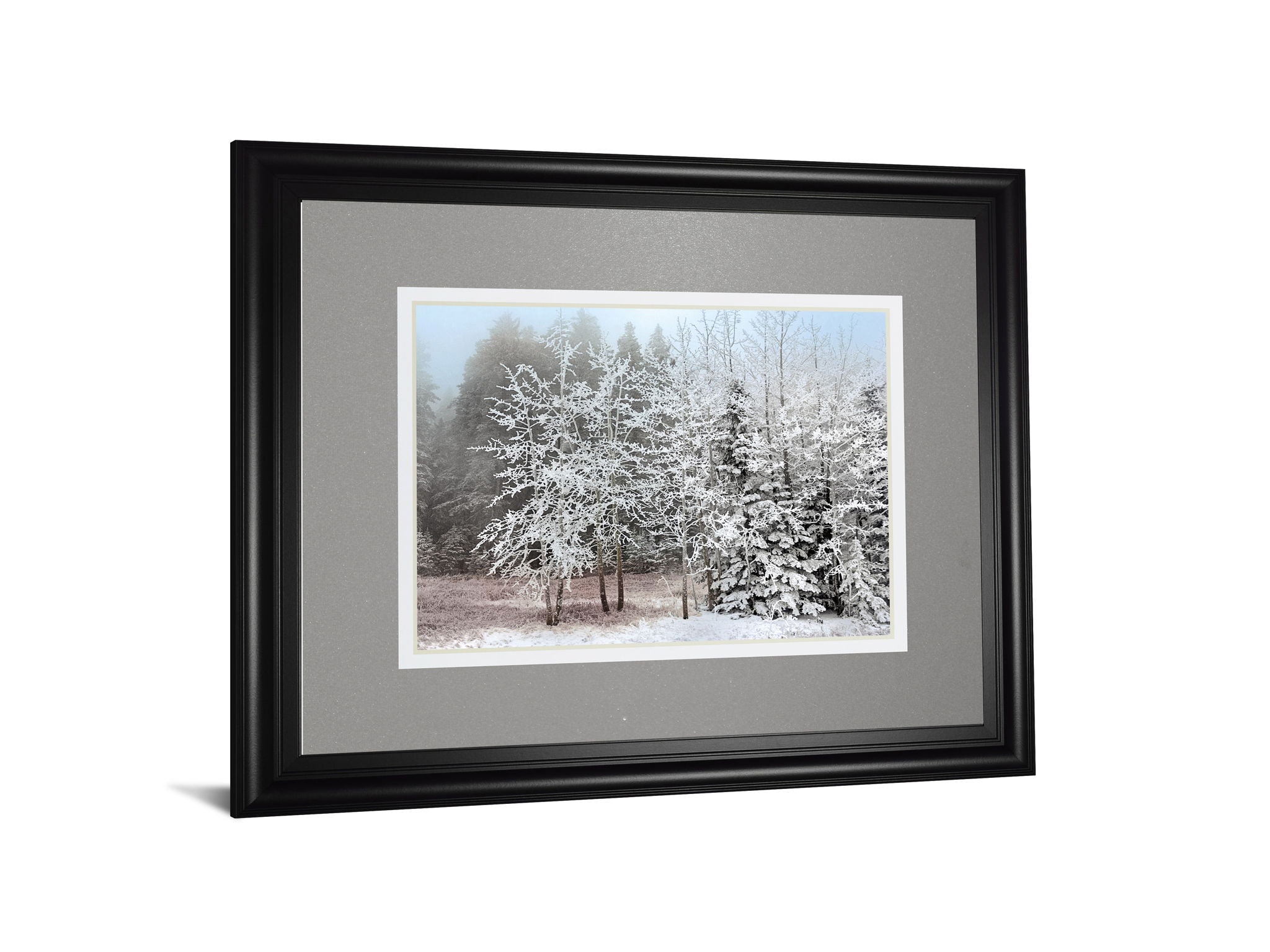 Frosty Morning By Mike Jone - Framed Print Wall Art - Gray
