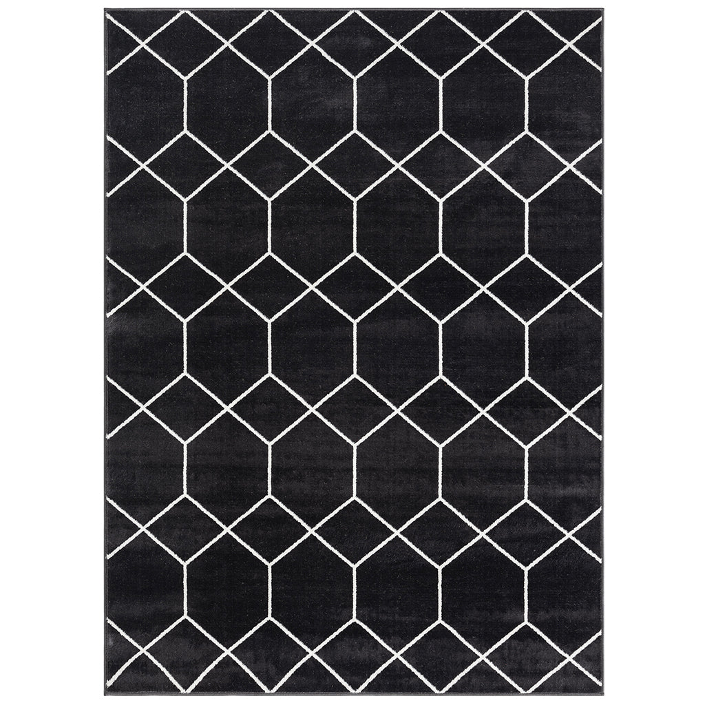 Trellis Geometric Woven Area Rug