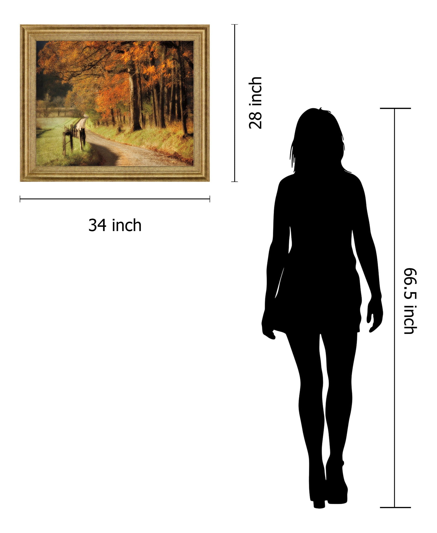 Amber Forest Pathway - 28" x 34" Framed Wall Art - Orange