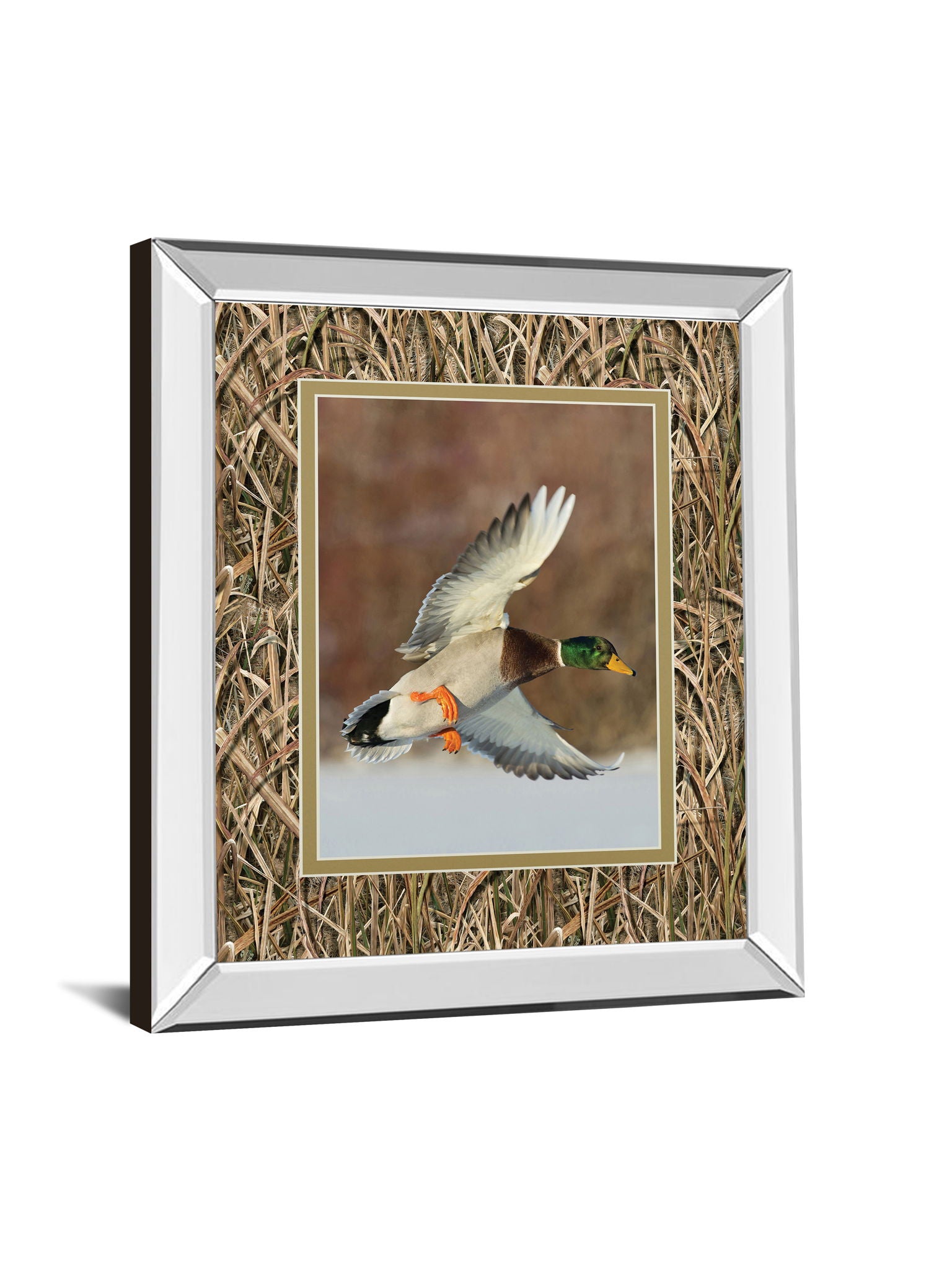 Flying Mallard By Steve Oehlenschlager Mirror Framed Mossy Oak Native Living Print - Light Brown