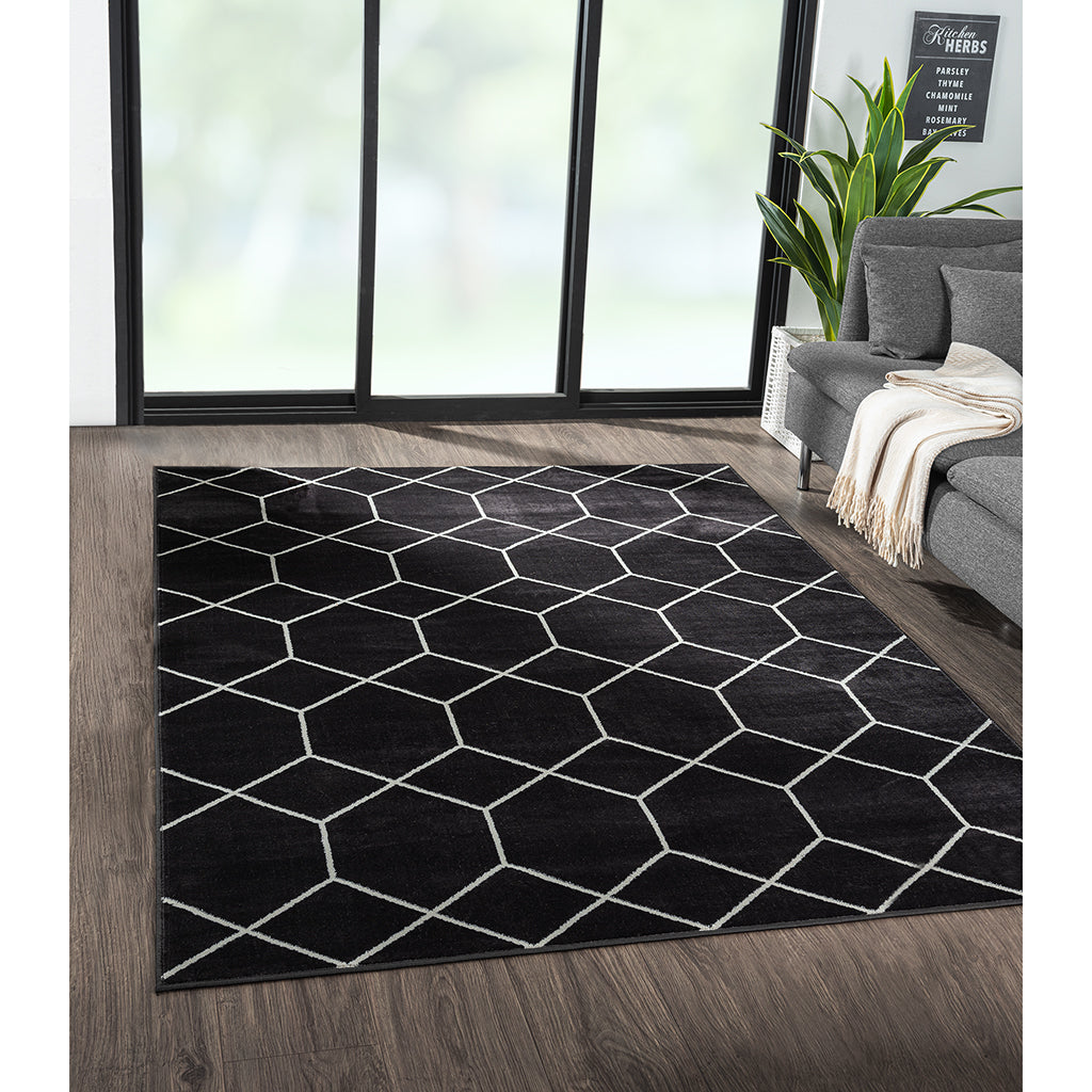 Trellis Geometric Woven Area Rug