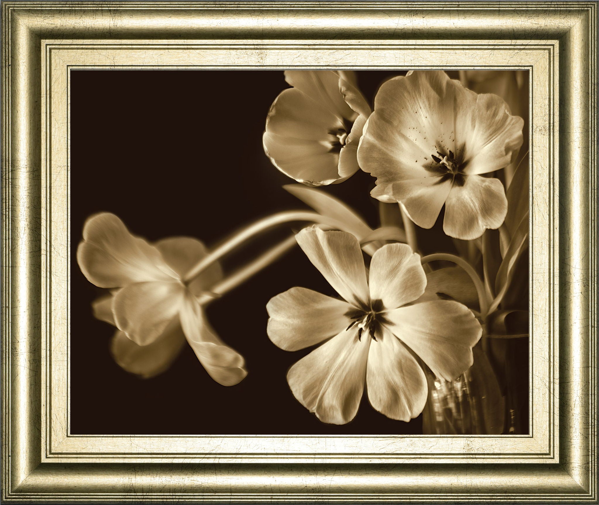 Elegante By Adrian Jendrasik - Framed Print Wall Art - Light Brown