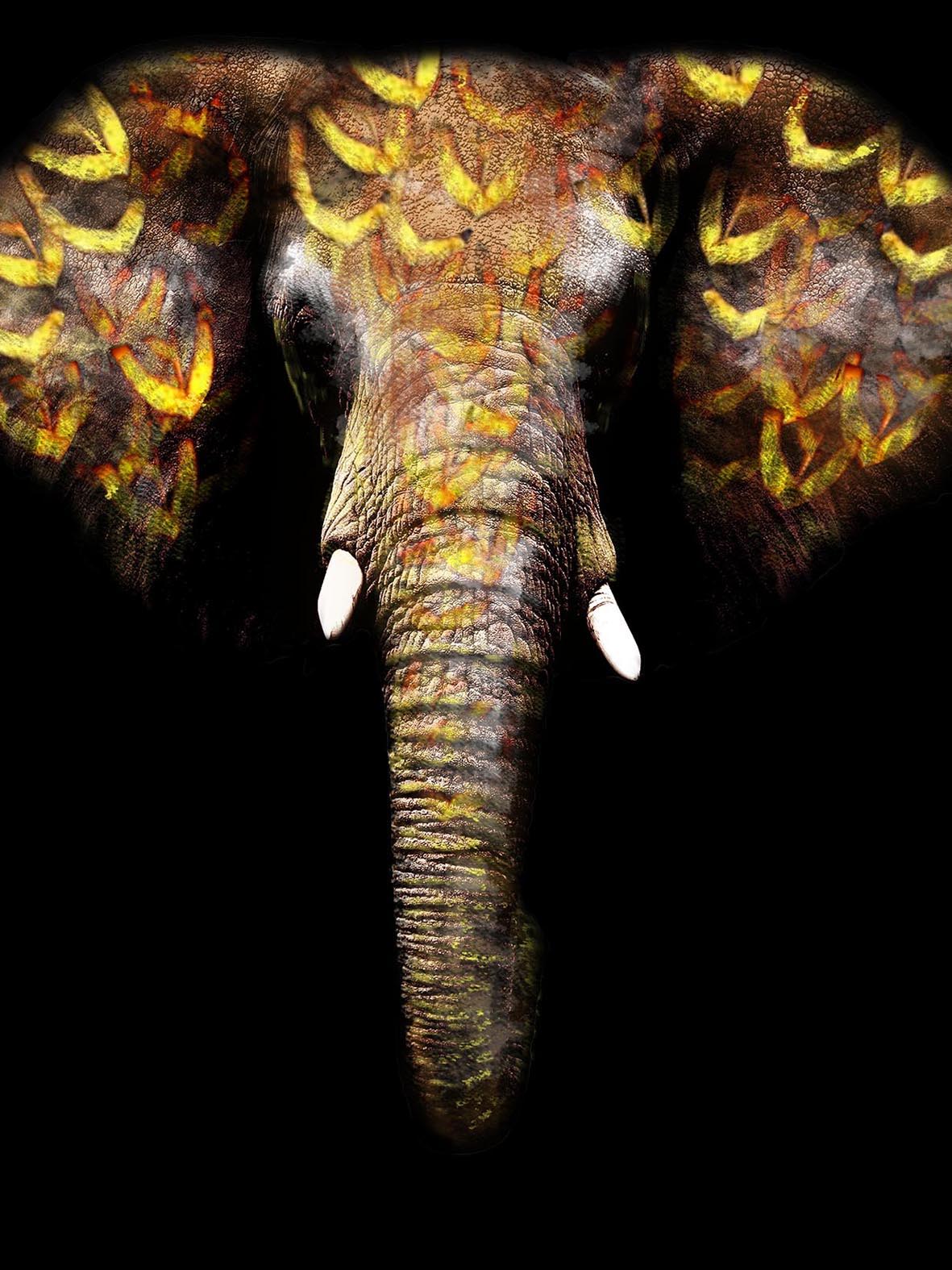 Floating Tempered Glass With Foil Elephant - Black