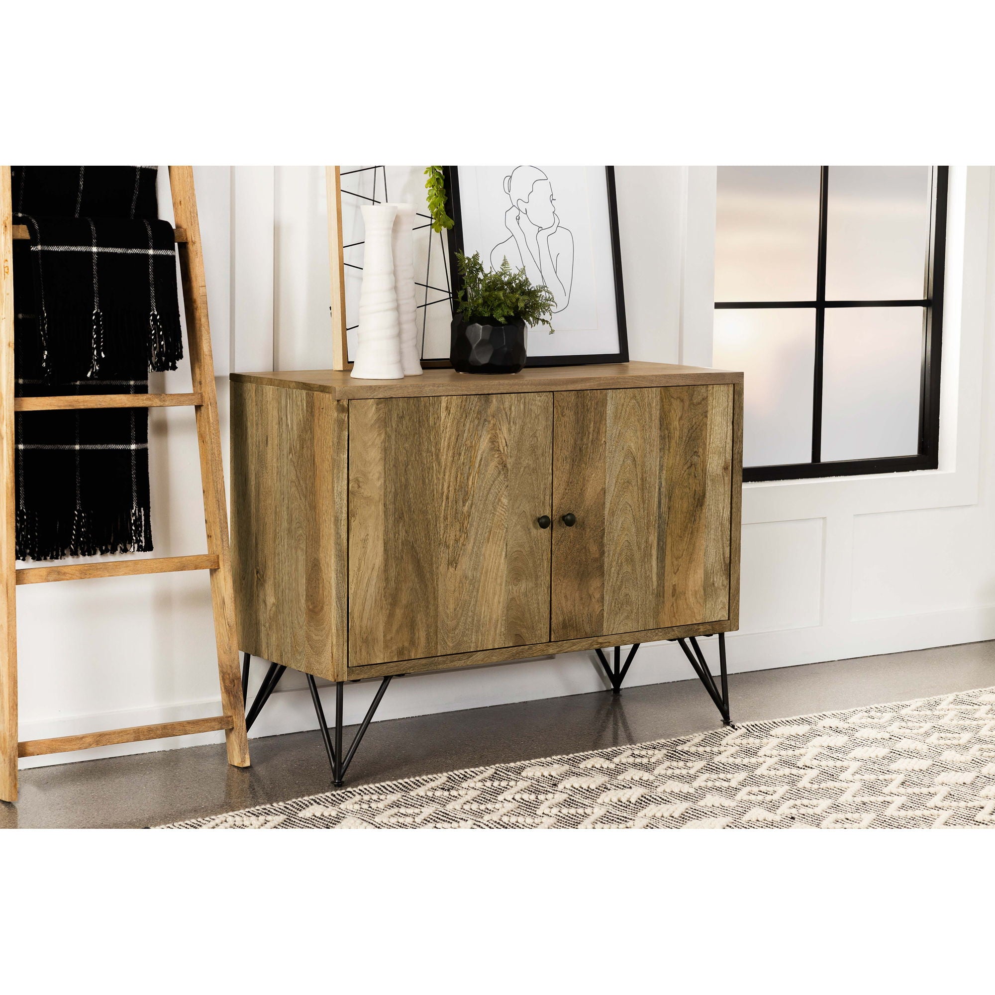 Eileen - 2 Door Storage Accent Cabinet