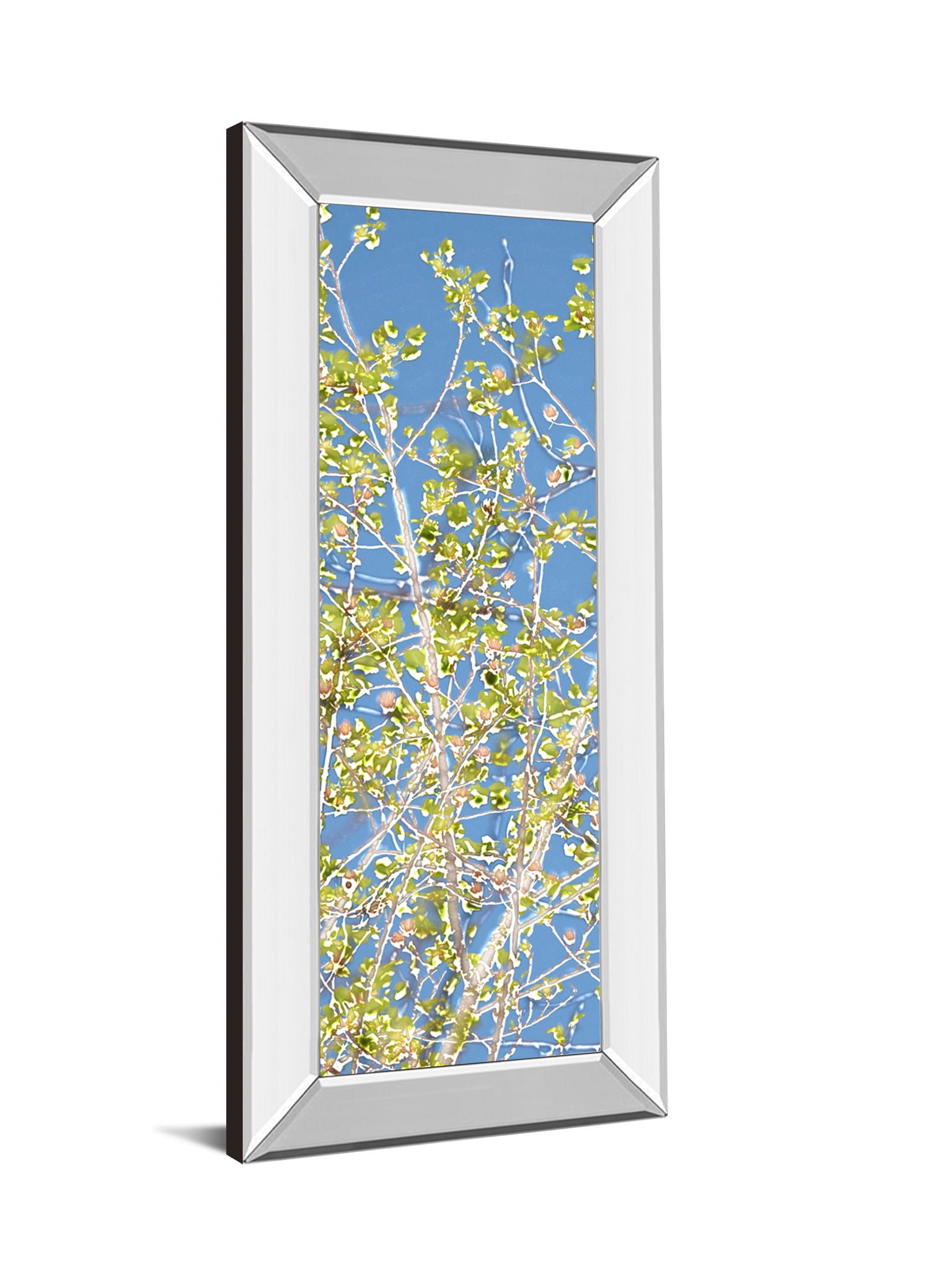 Spring Poplars Il By Sharon Chandler - Mirror Framed Print Wall Art - Light Blue