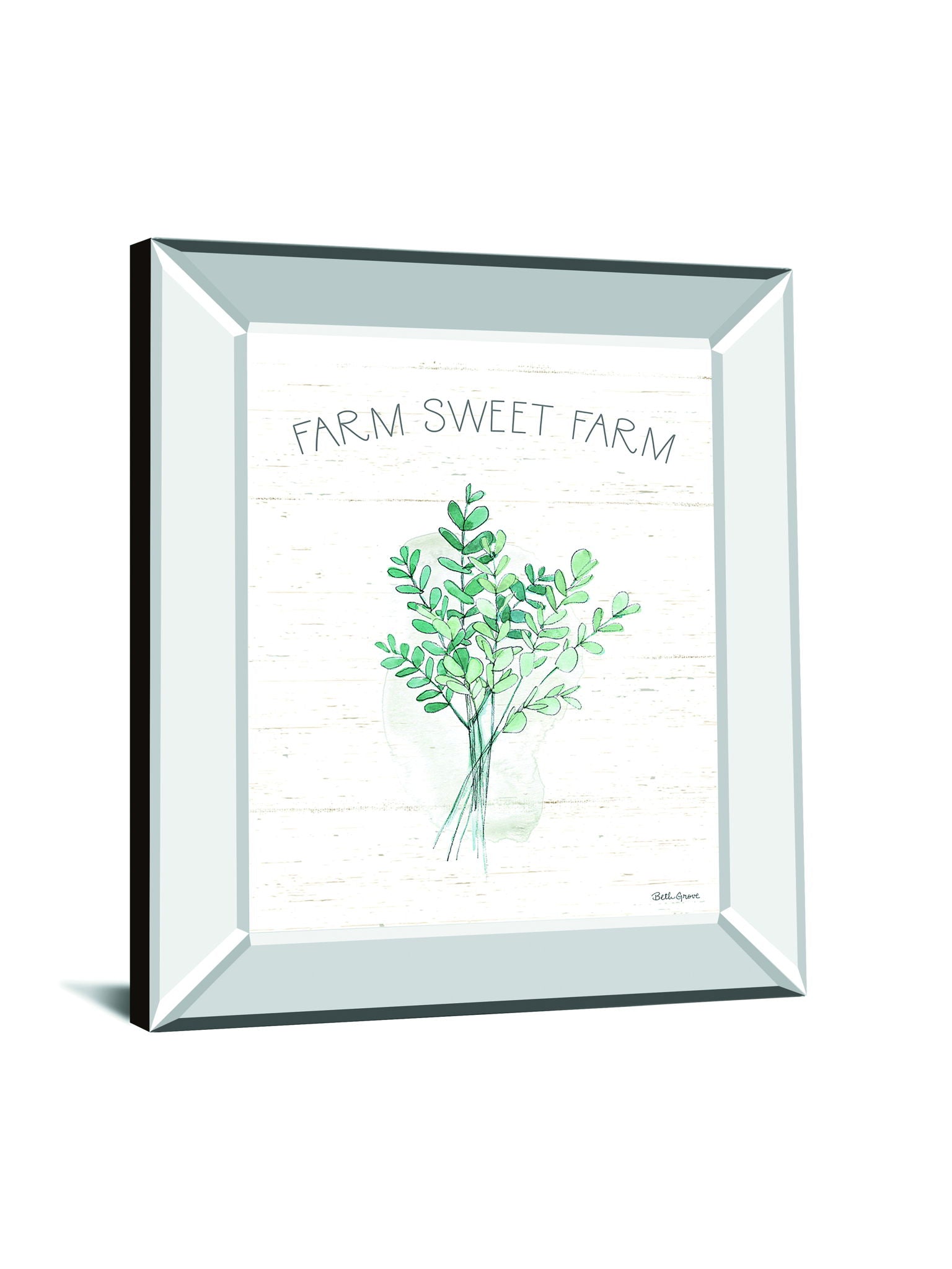 Farmhouse Cotton V By Beth Grove - Mirror Framed Print Wall Art - White