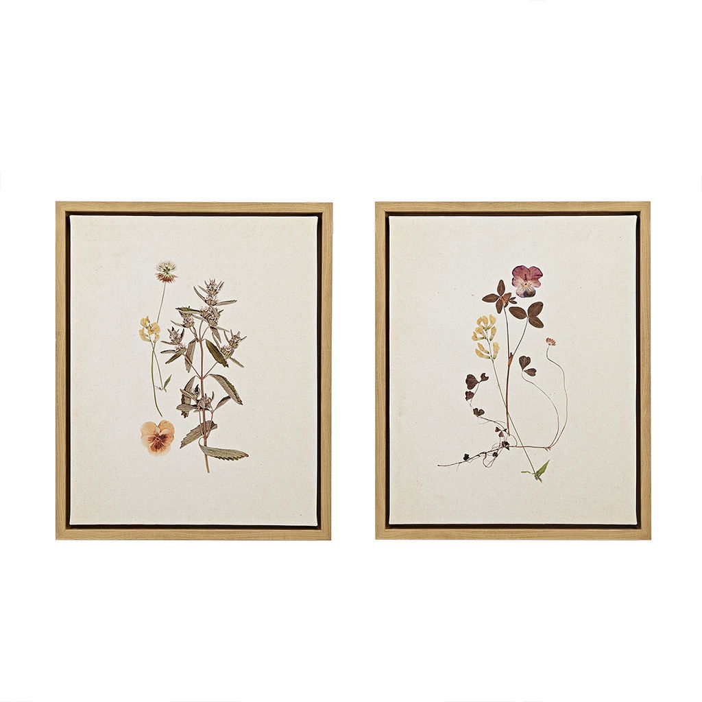French Herbarium - Framed Linen Canvas (Set of 2) - Multi