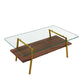 Rectangle Coffee Table, Tempered Glass Tabletop with Gold Metal Legs, Modern Table for Living Room , Transparent Glass