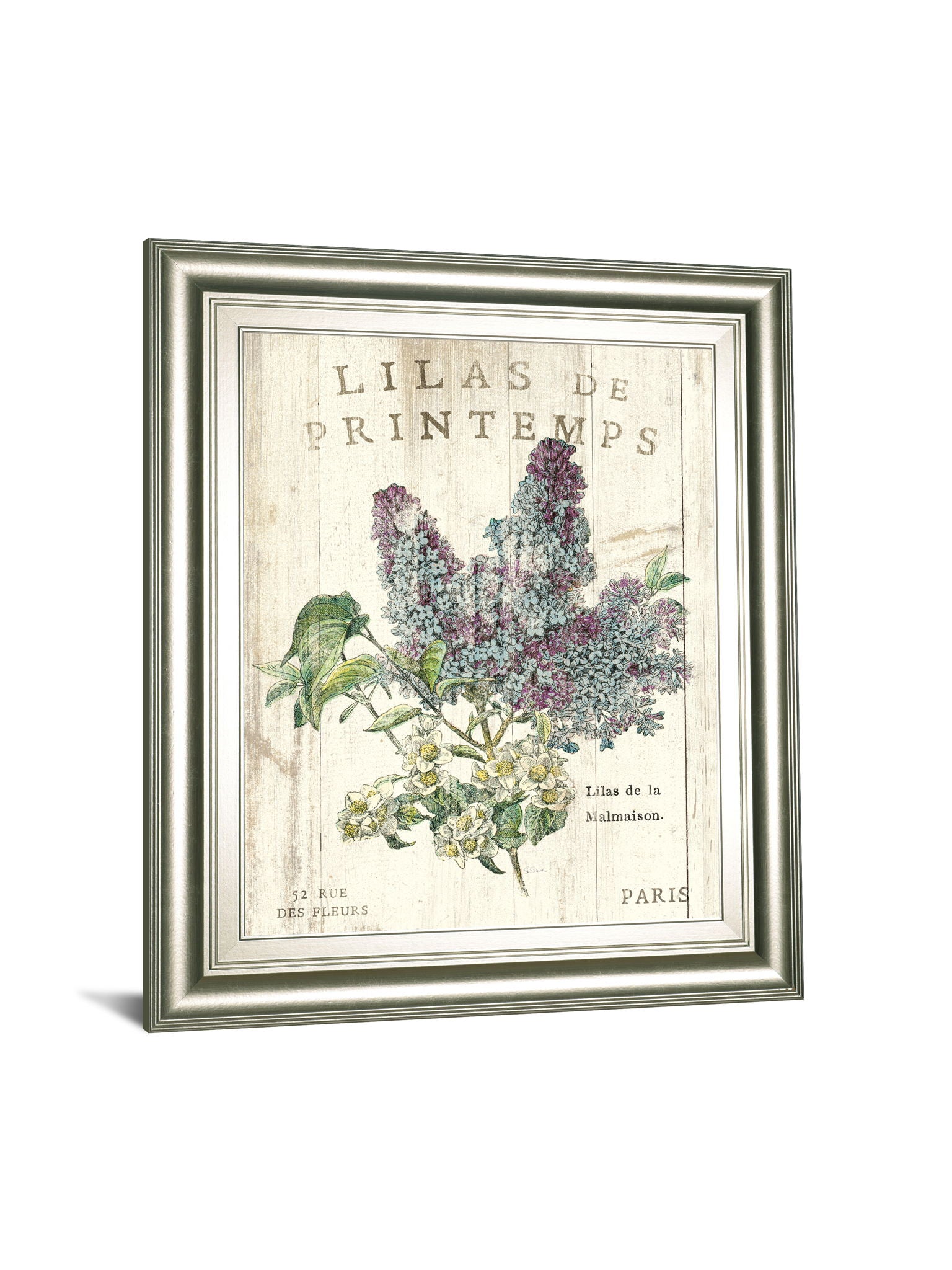 Lilas De Printemps By Sue Schlabach 22x 26 - Beige