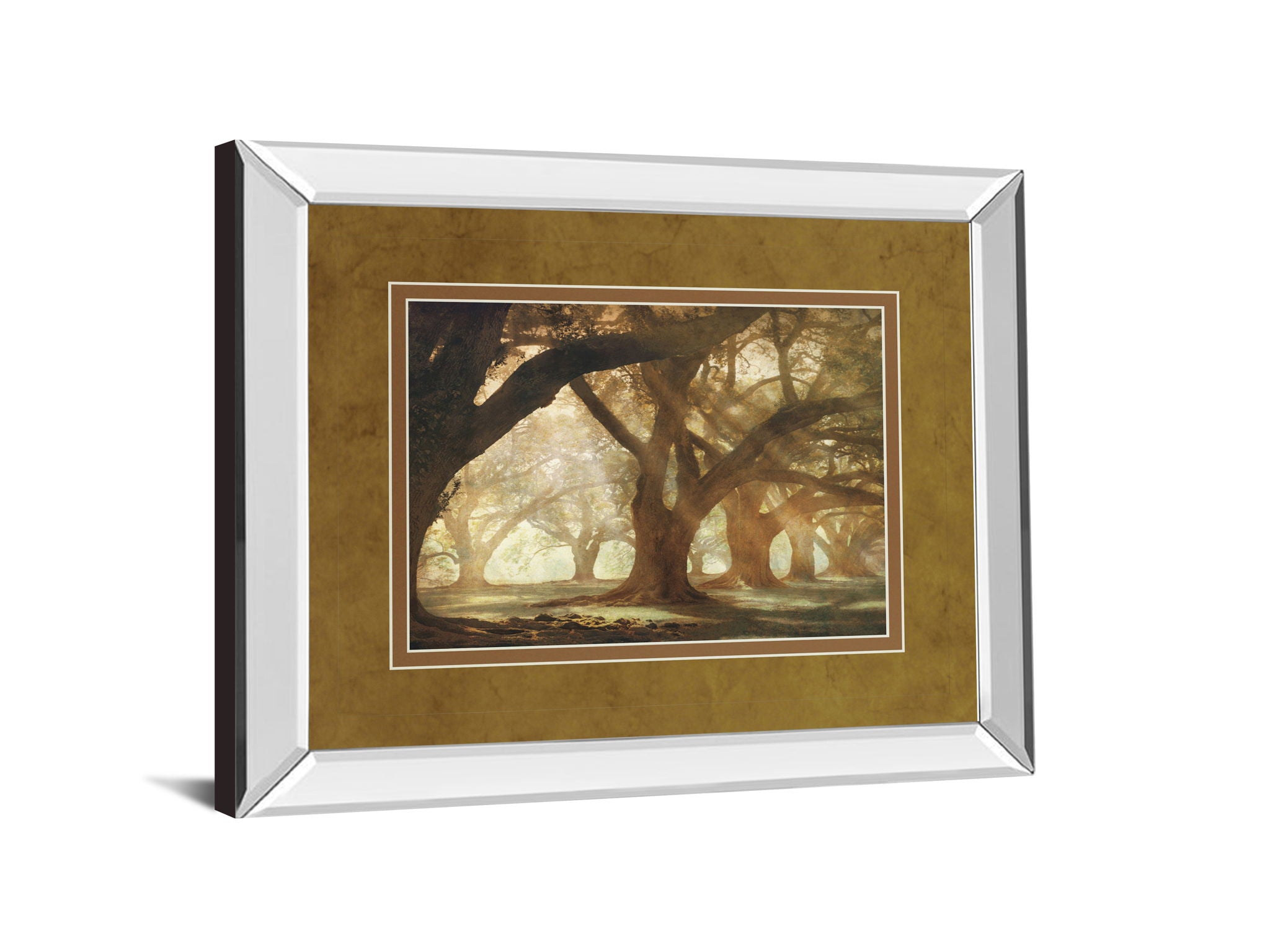 Oak Alley Morning Light By William Guion - Mirror Framed Print Wall Art - Light Brown