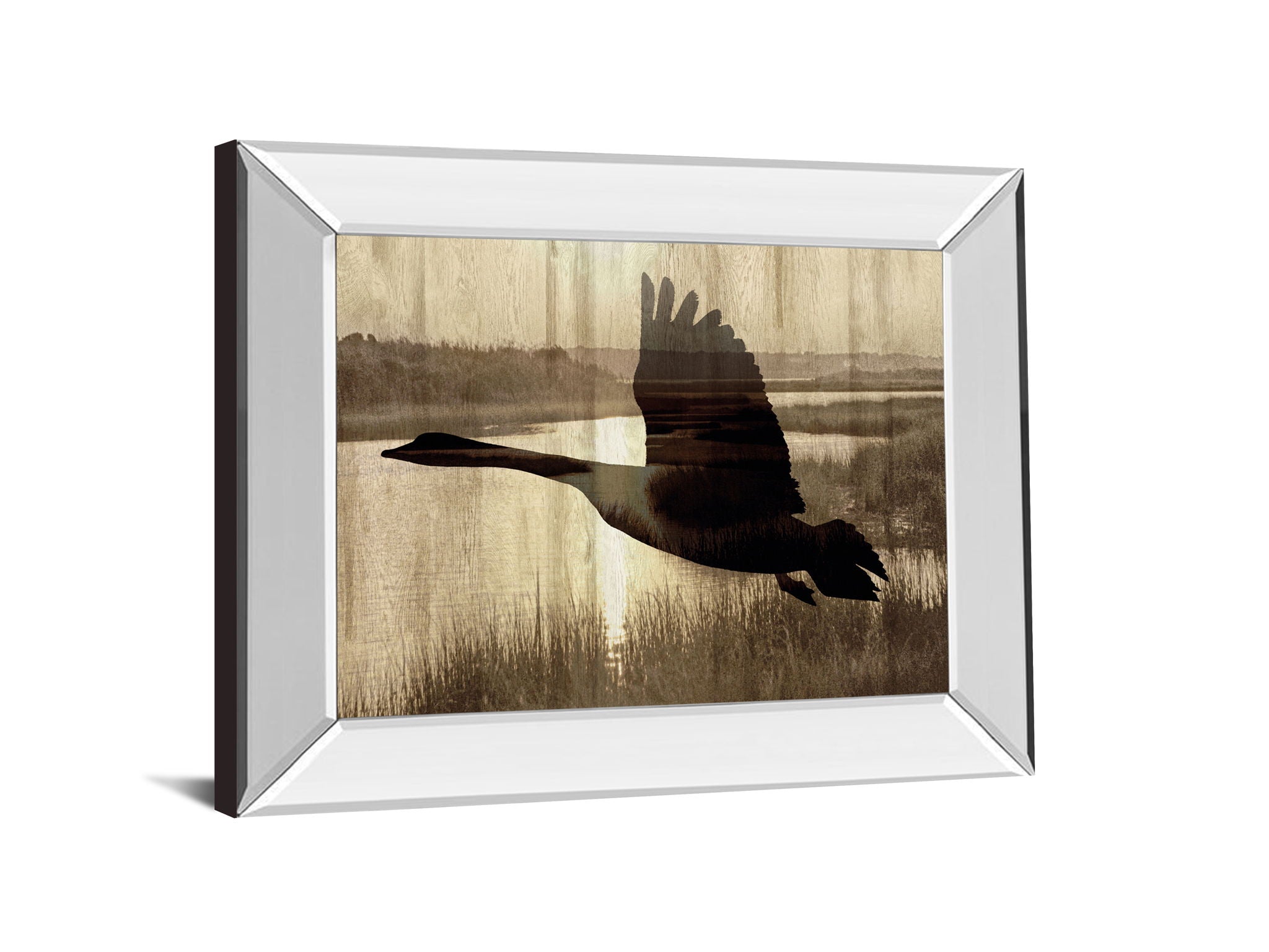 Journey By Tania Bello - Mirror Framed Goose Photo Print Wall Art - Light Brown