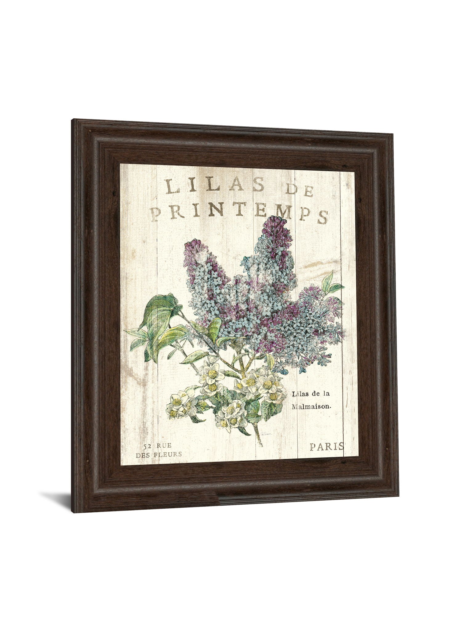 Lilas De Printemps By Sue Schlabach - Beige