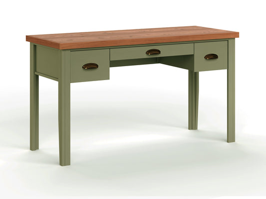 Bridgevine Home Vineyard 53 inch Writing Desk, No Assembly Required, Sage Green and Fruitwood Finish