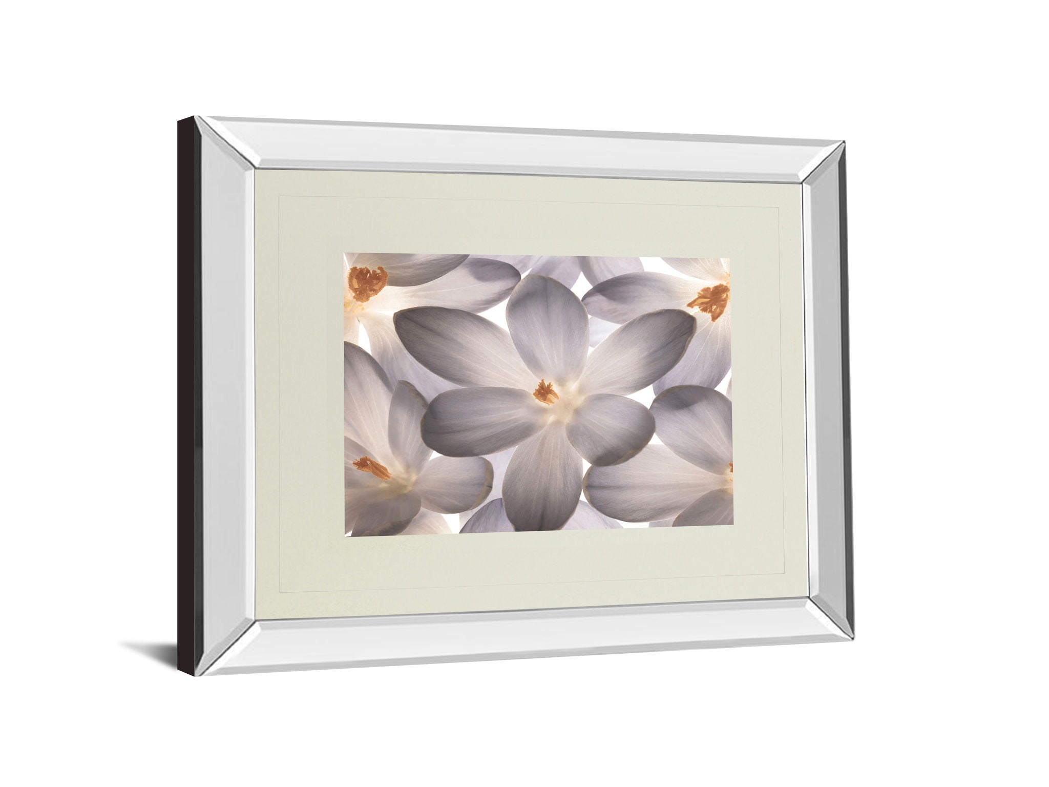 Petal Perfect By Assaf Frank - Mirror Framed Print Wall Art - Beige