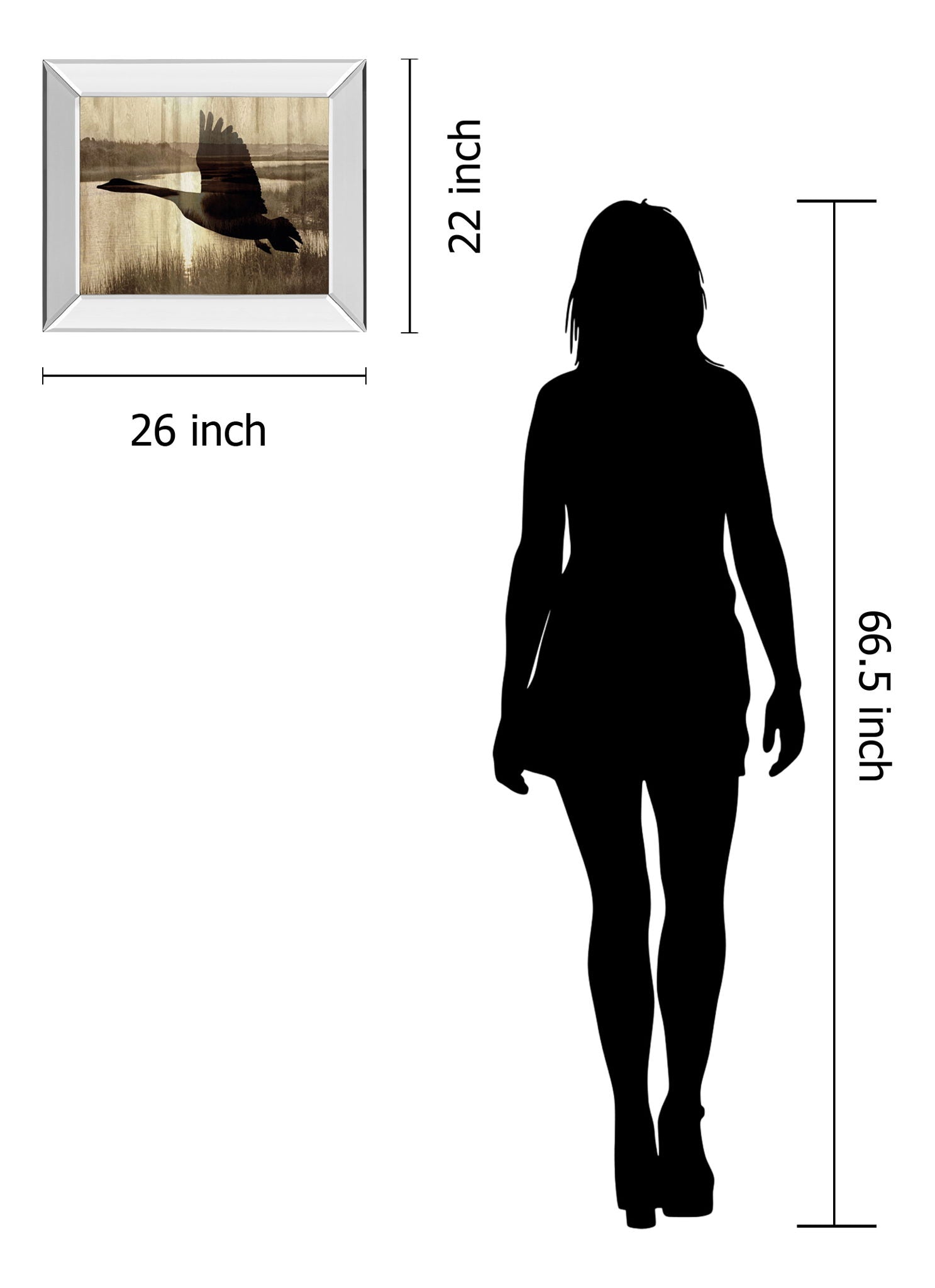 Journey By Tania Bello - Mirror Framed Goose Photo Print Wall Art - Light Brown