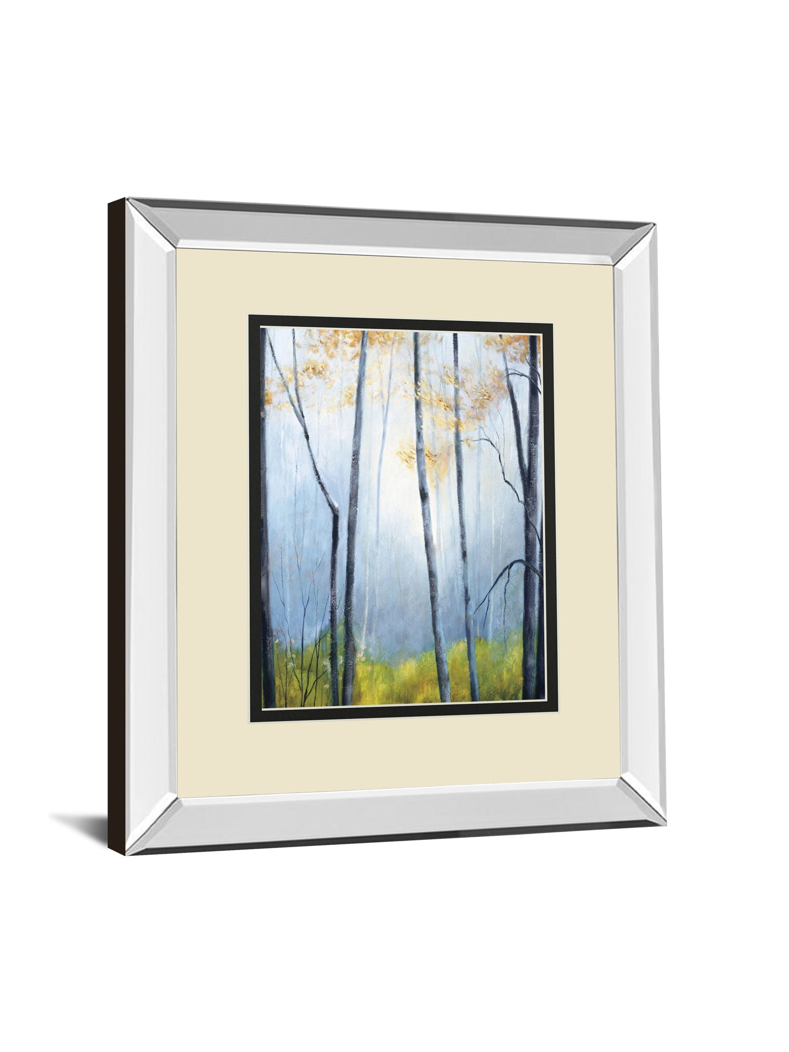 Tranquil River By Striffolino R. Mirrored Frame - Light Blue